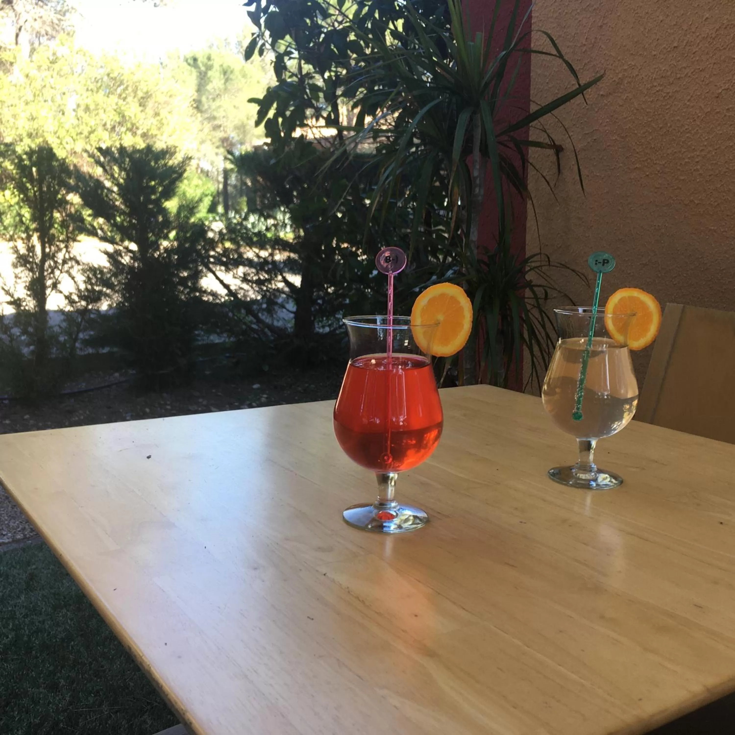 Patio in Kyriad Montpellier Nord Parc Euromédecine