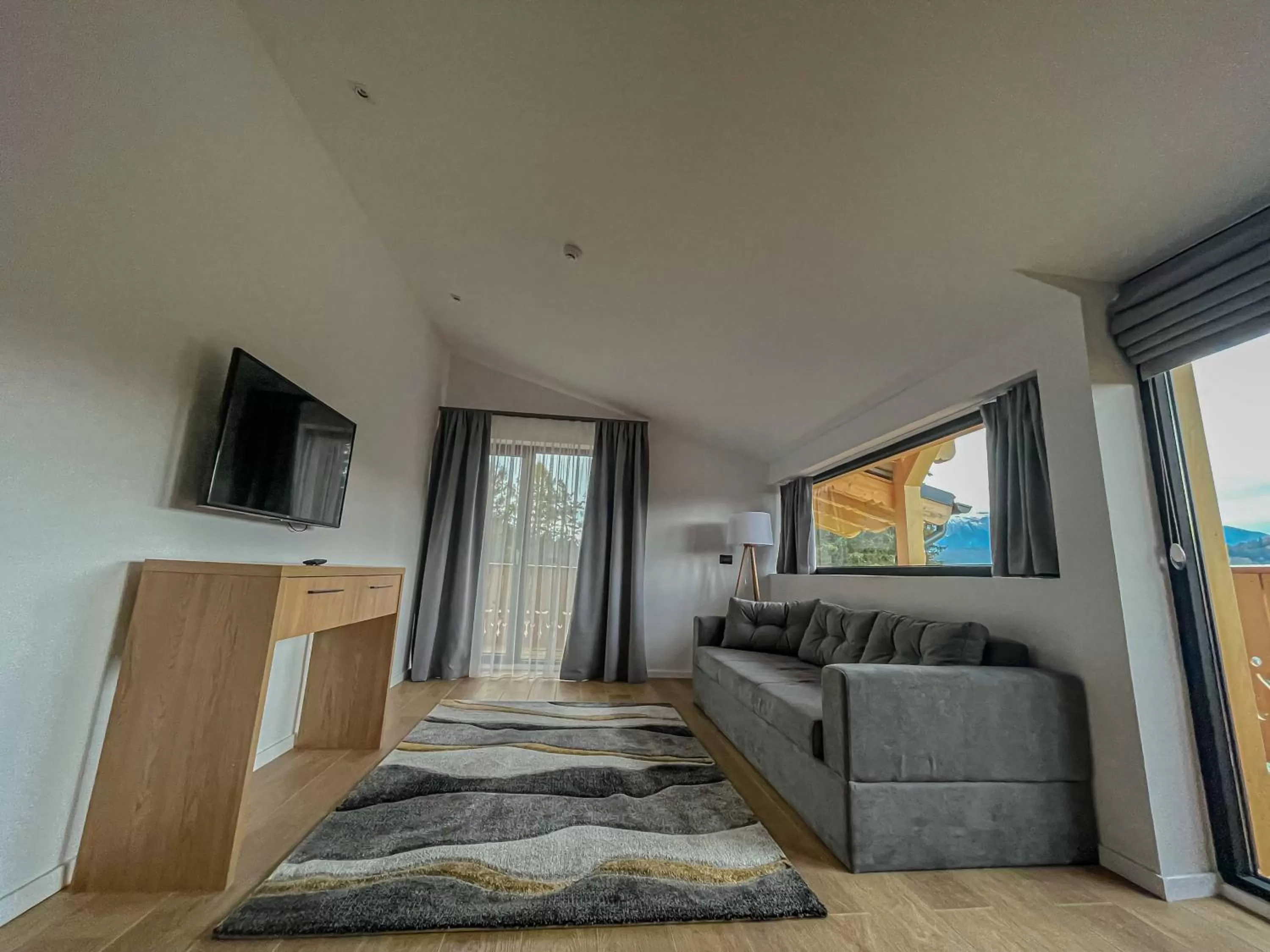 TV and multimedia in Ursuletul Predeal