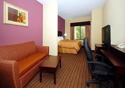  King Suite - Disability Access/Non-Smoking in Comfort Suites Sanford
