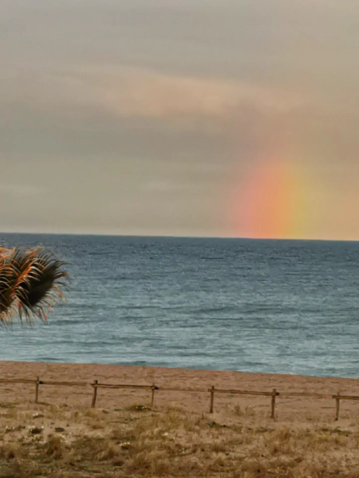 Beach in Hotel de la Plage - Barcares