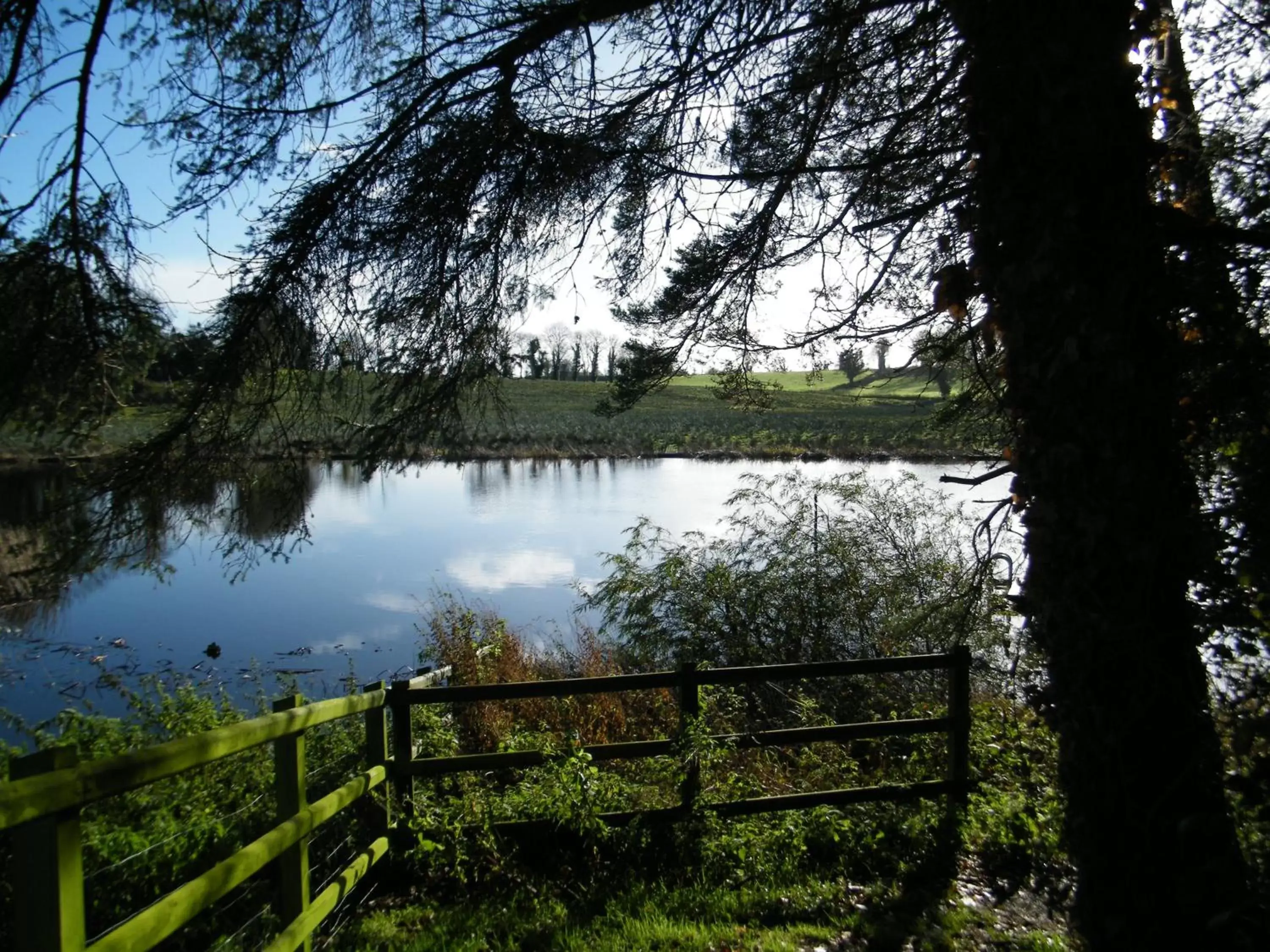 Lake View in Corrigans Shore House