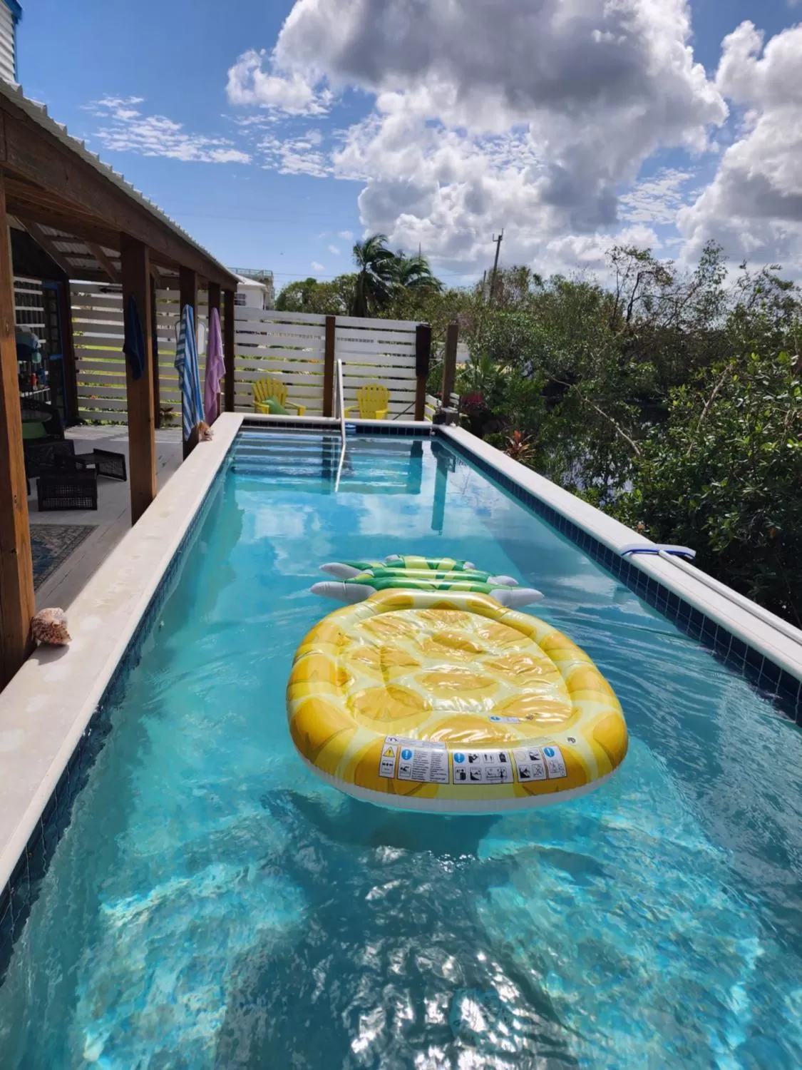 Pool view in The BNB on Triggerfish Close to the airport