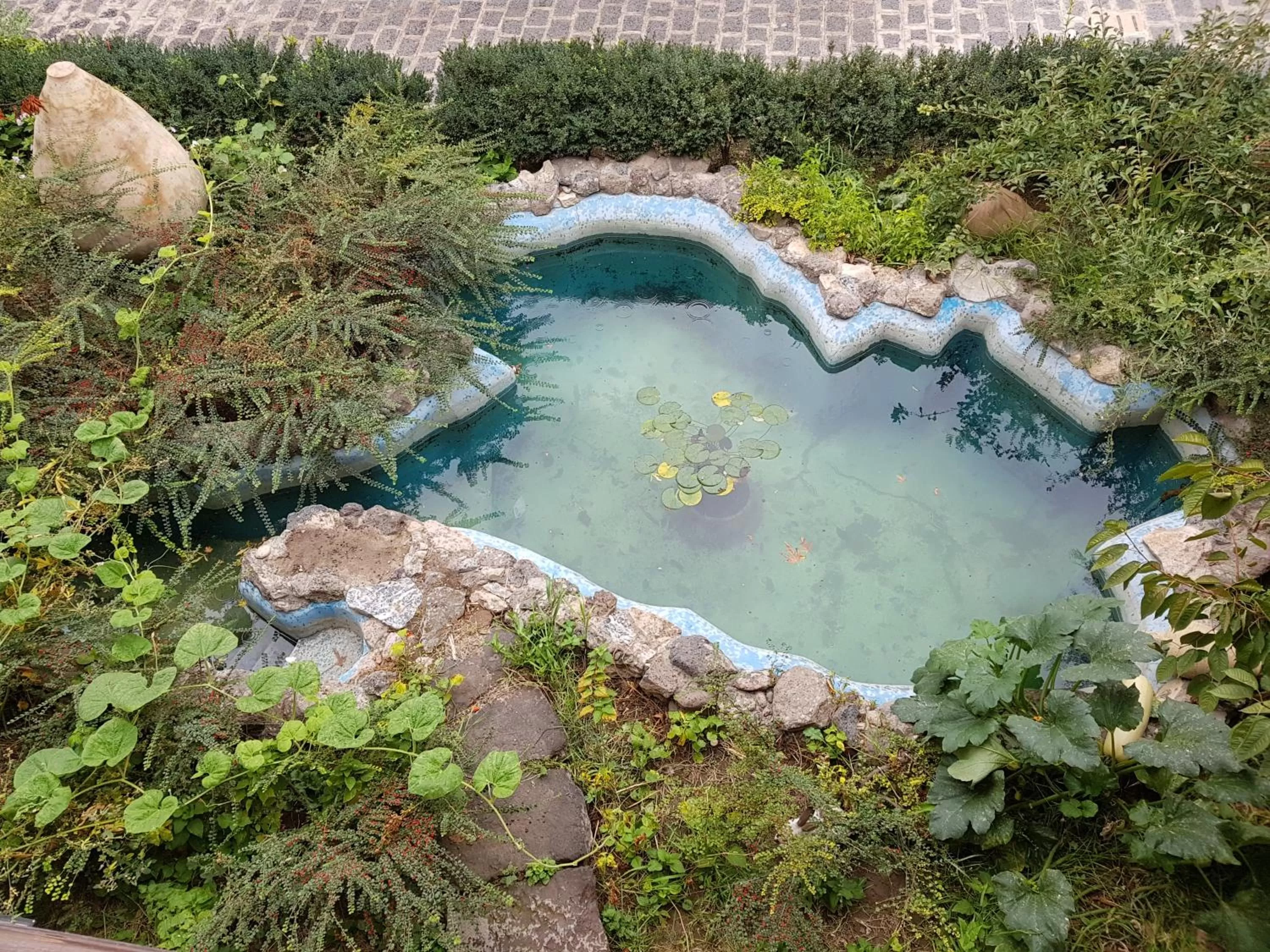 Garden, Bird's-eye View in Machanents Art Hotel