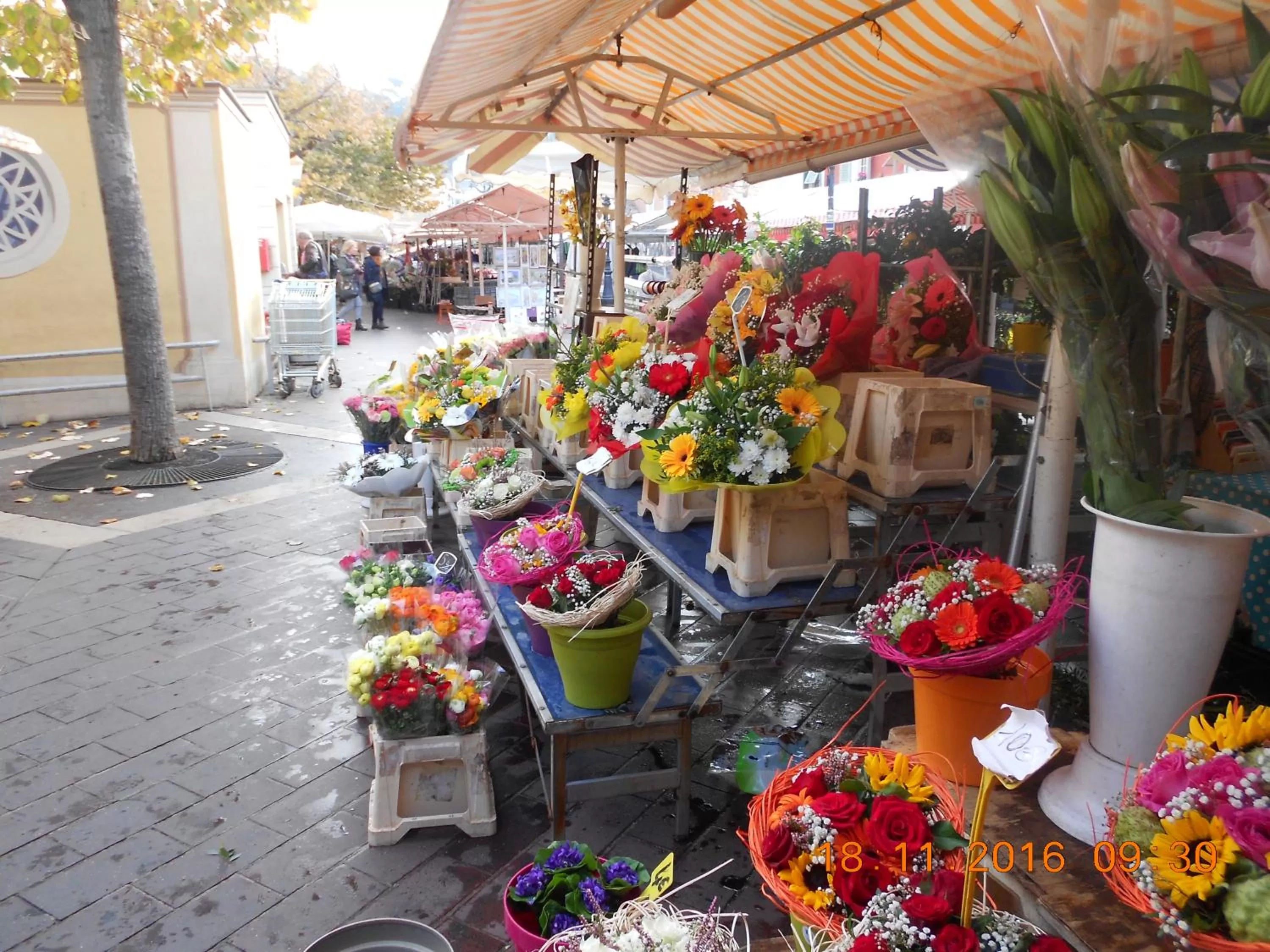Property building in Breakfast at Sophy's