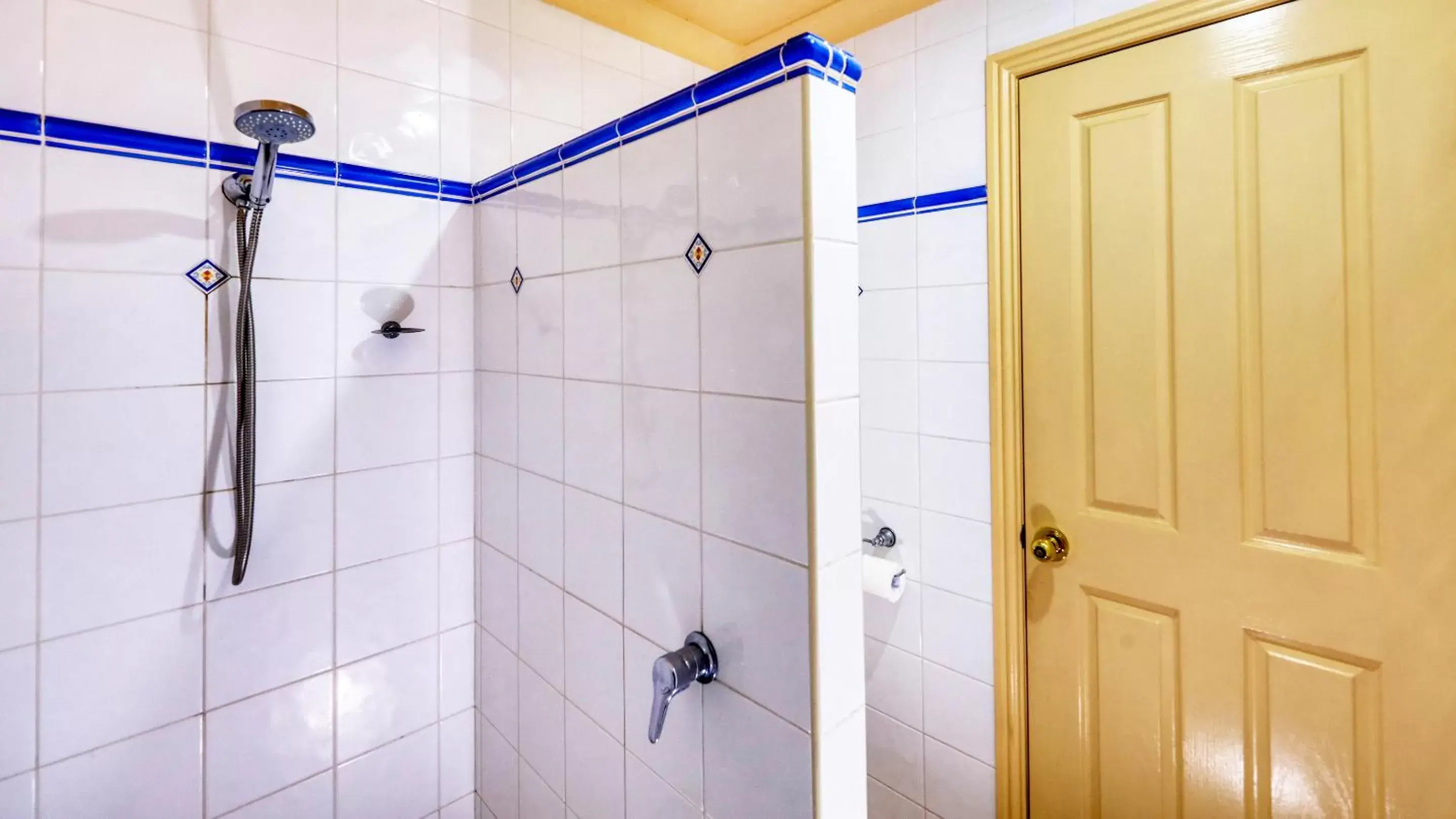Shower, Bathroom in Dalby Homestead Motel