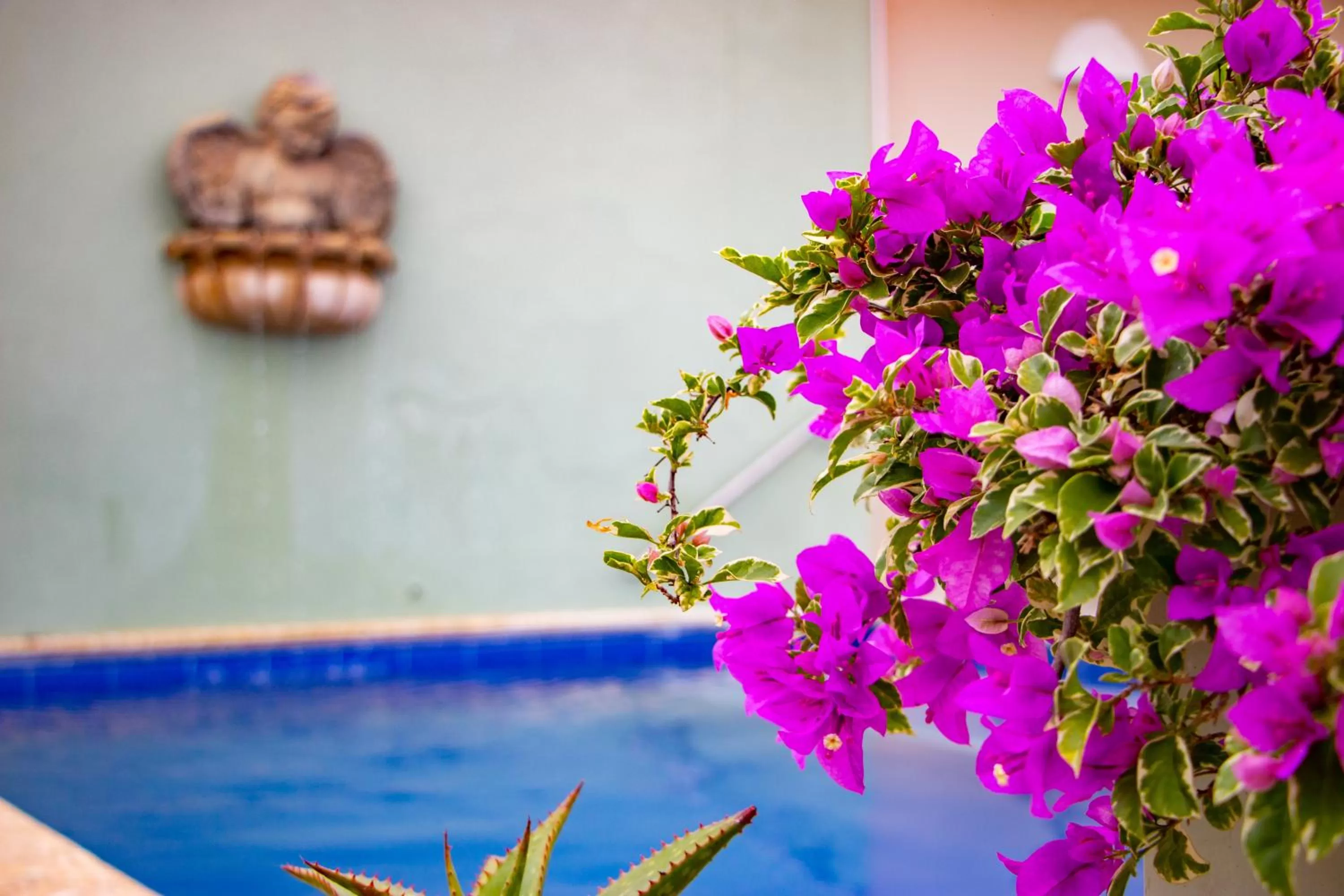 Swimming pool in Hotel Casa La Fe