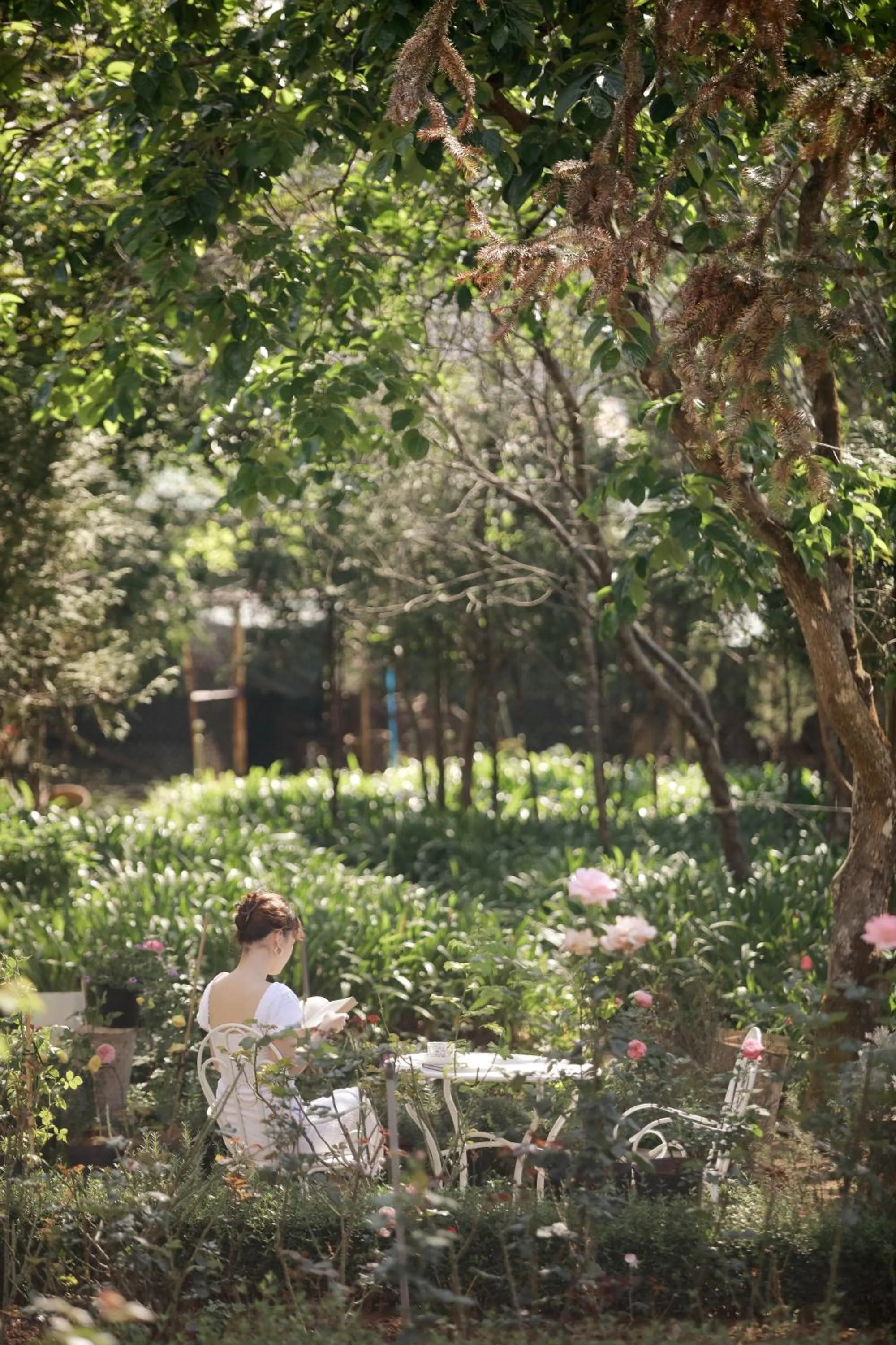 Dalat Terrasse Des Roses Villa