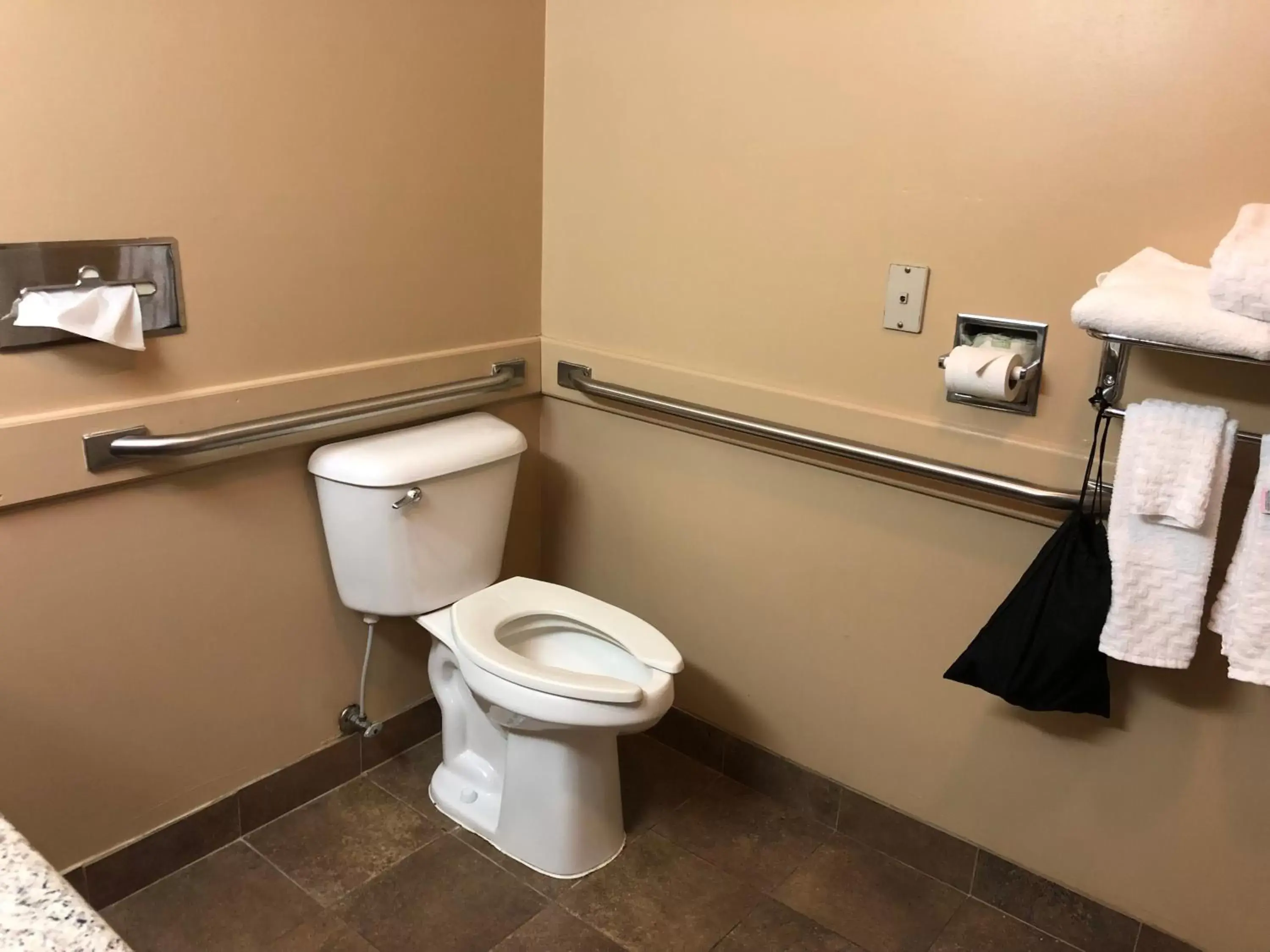 Toilet, Bathroom in Best Western Plus Coldwater Hotel