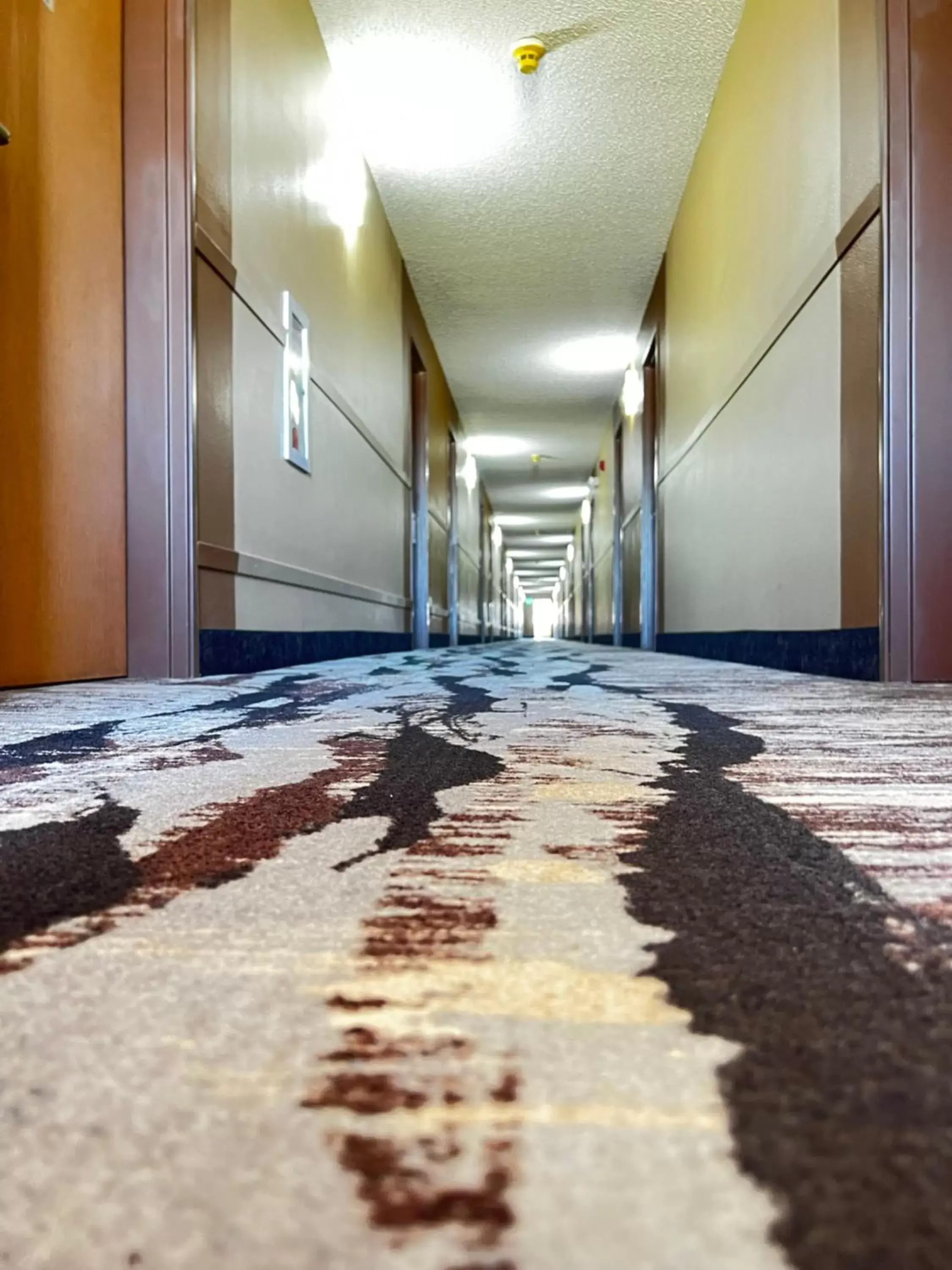 Designer Inn and Suites Designer Inn and Suites