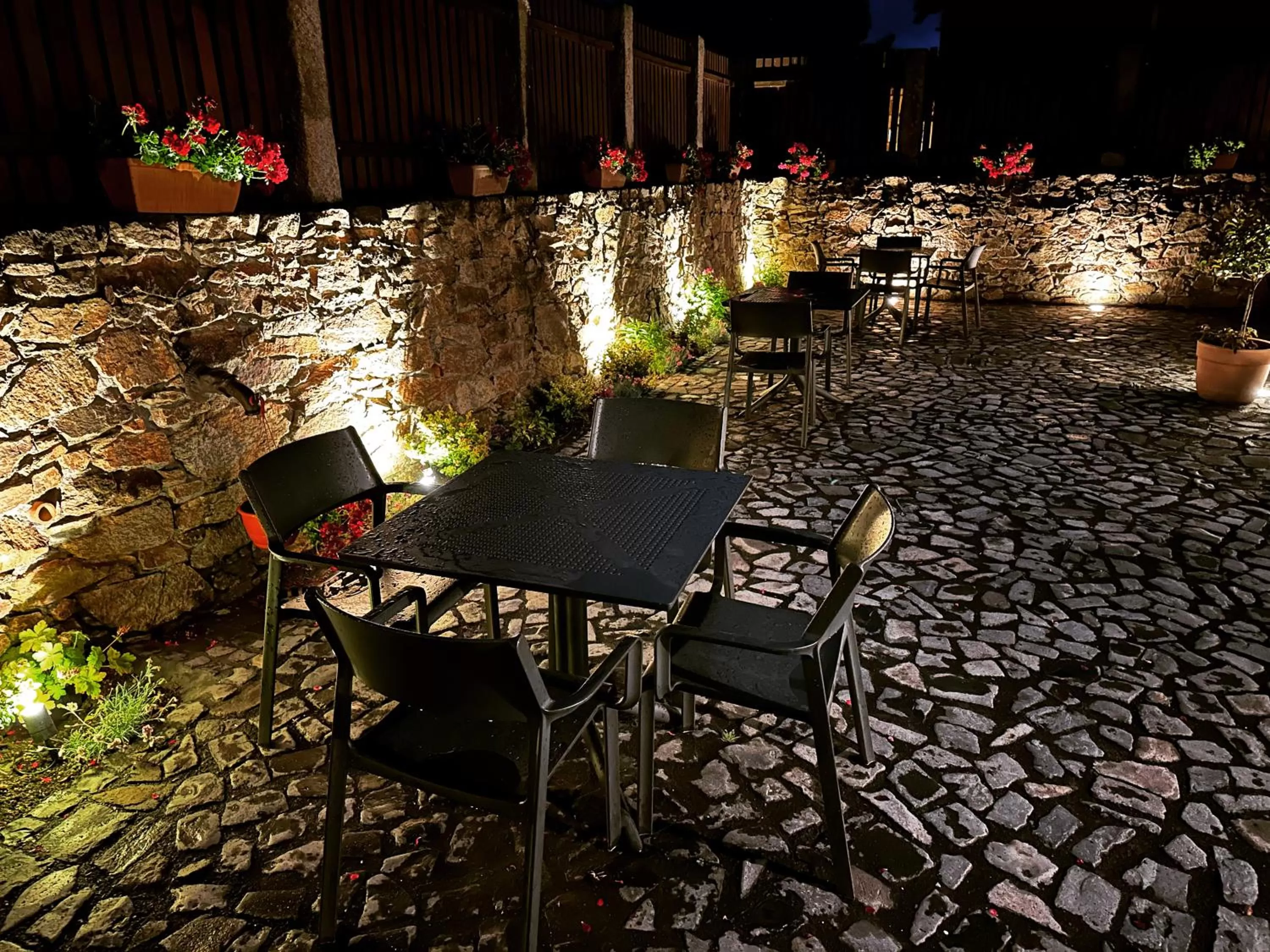 Garden in Pensjonat Dom Zegarmistrza