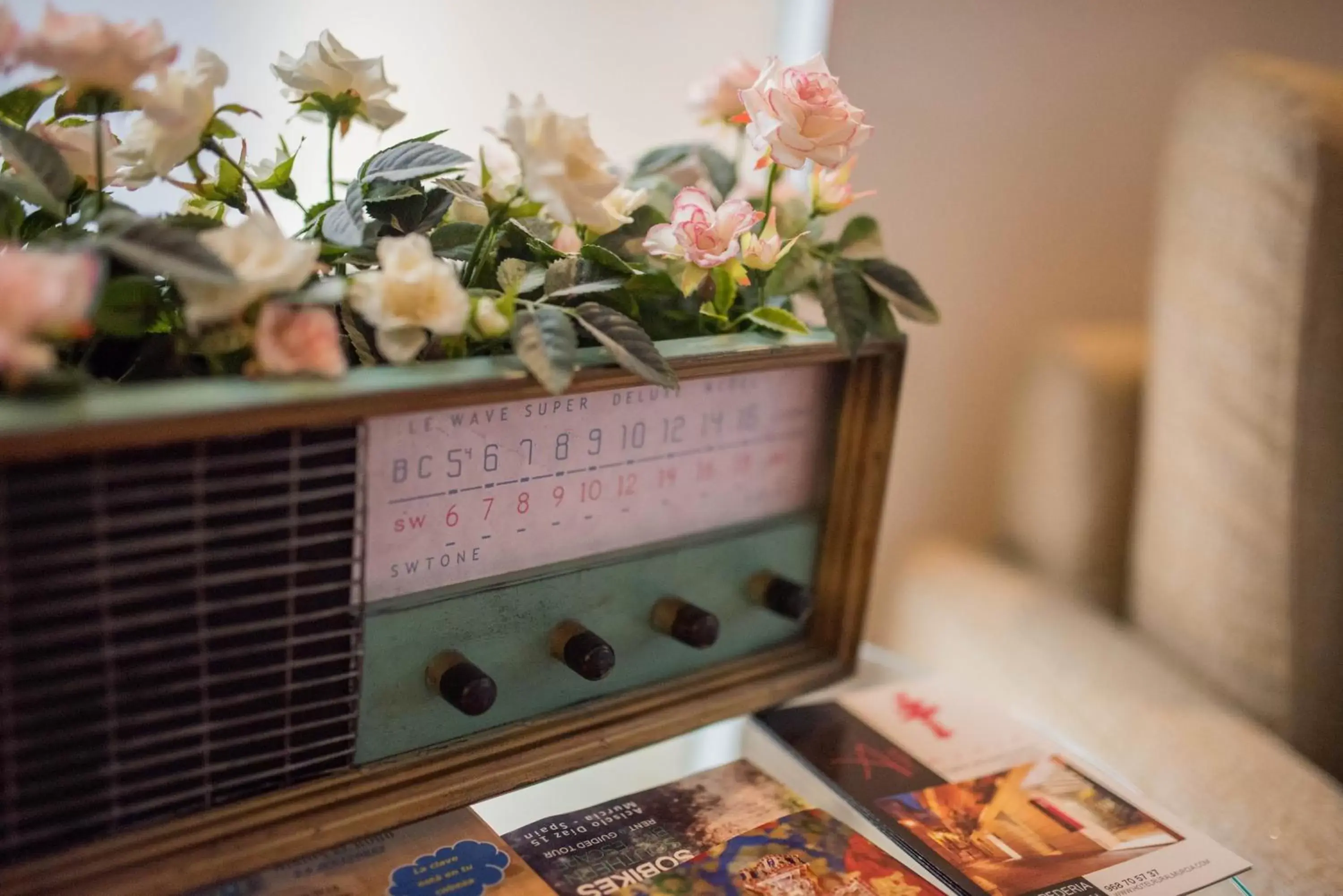 Decorative detail, TV/Entertainment Center in Hotel Almunia