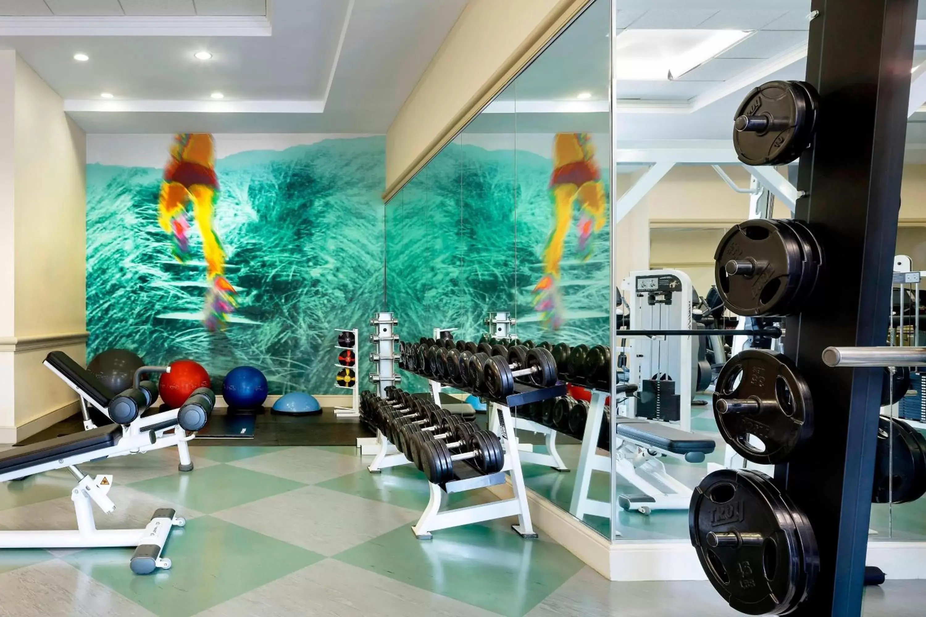 Fitness centre/facilities, Fitness Center/Facilities in Walt Disney World Swan