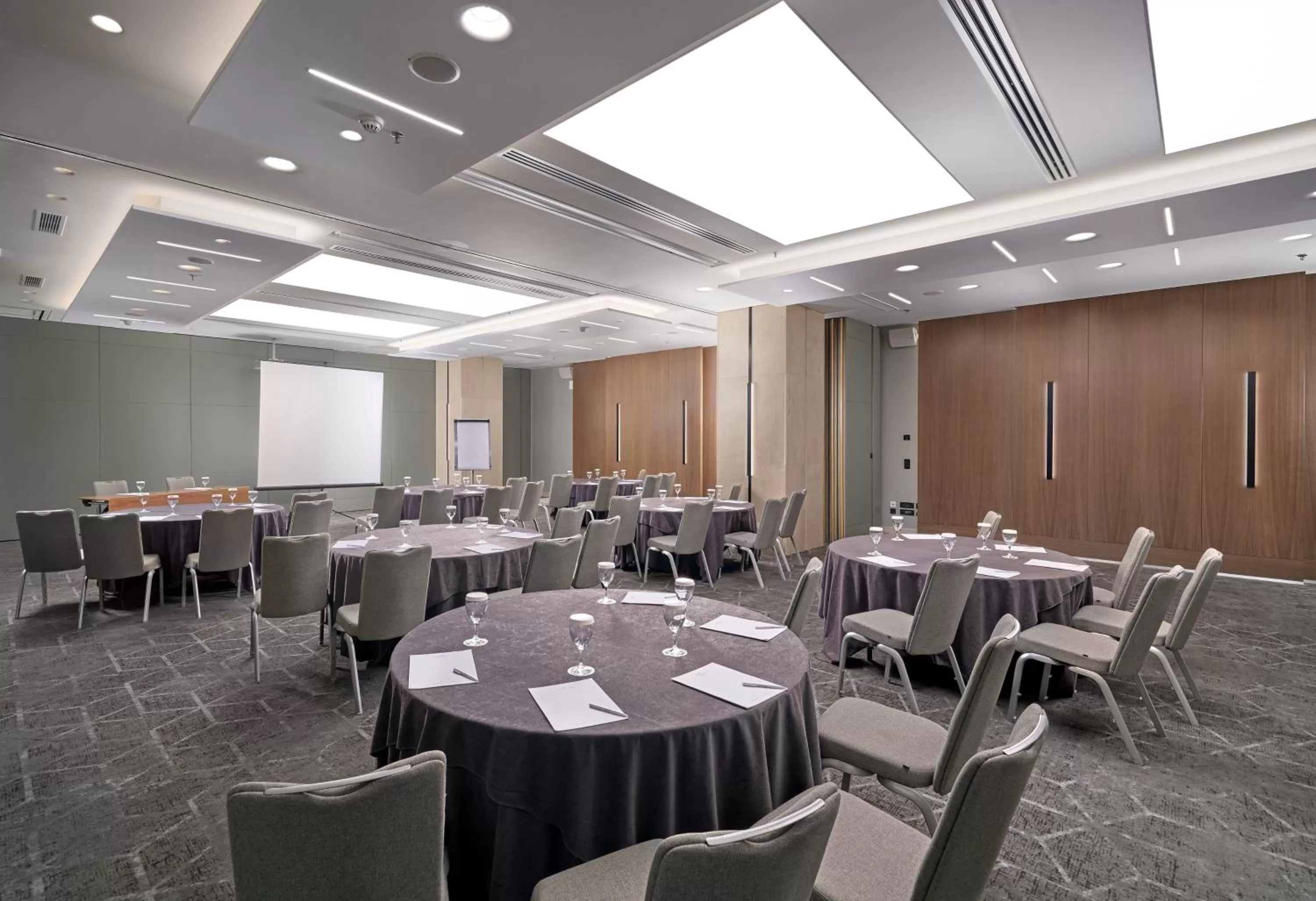 Meeting/conference room in Crowne Plaza Athens City Centre by IHG