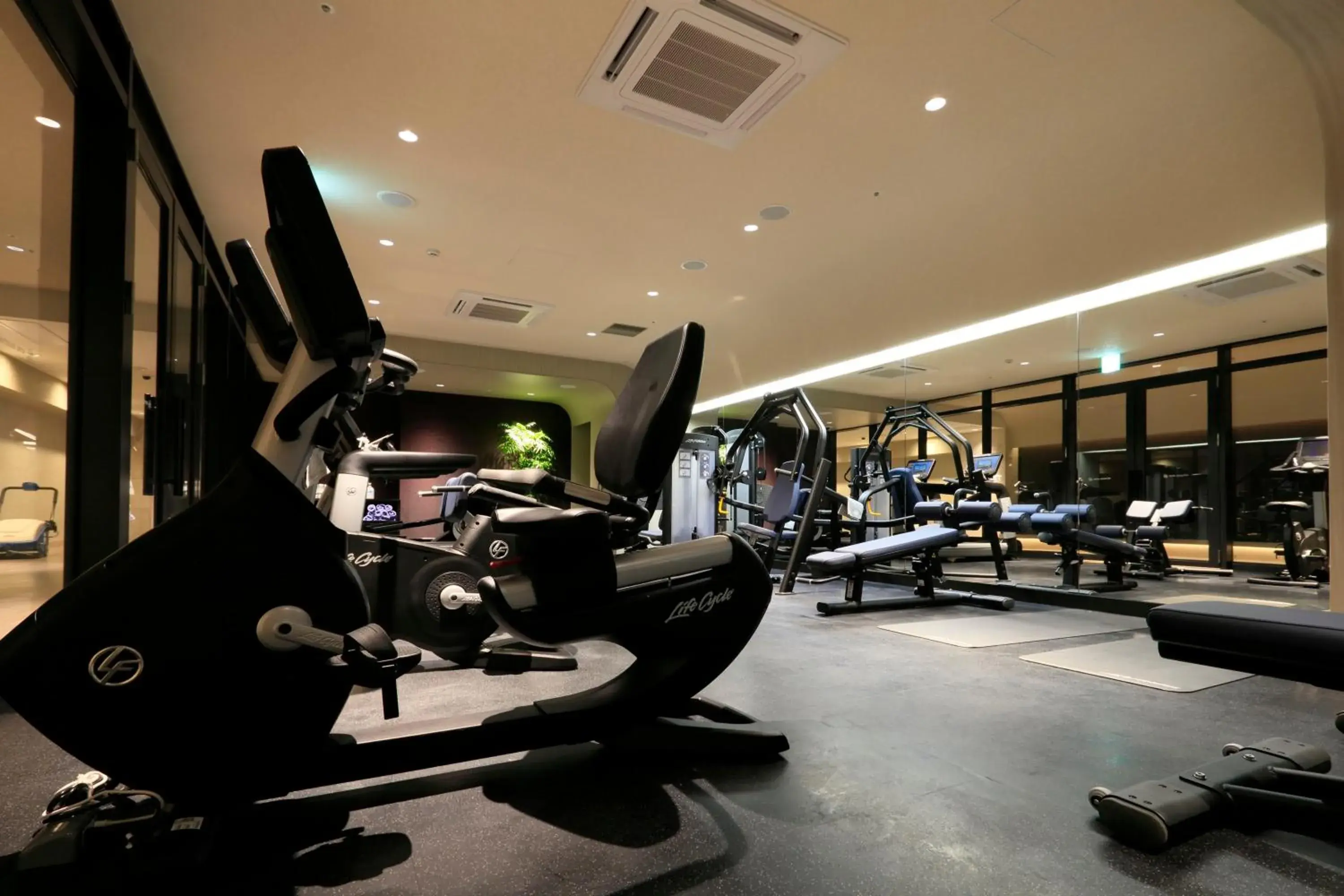 Fitness centre/facilities, Fitness Center/Facilities in Hotel Collective