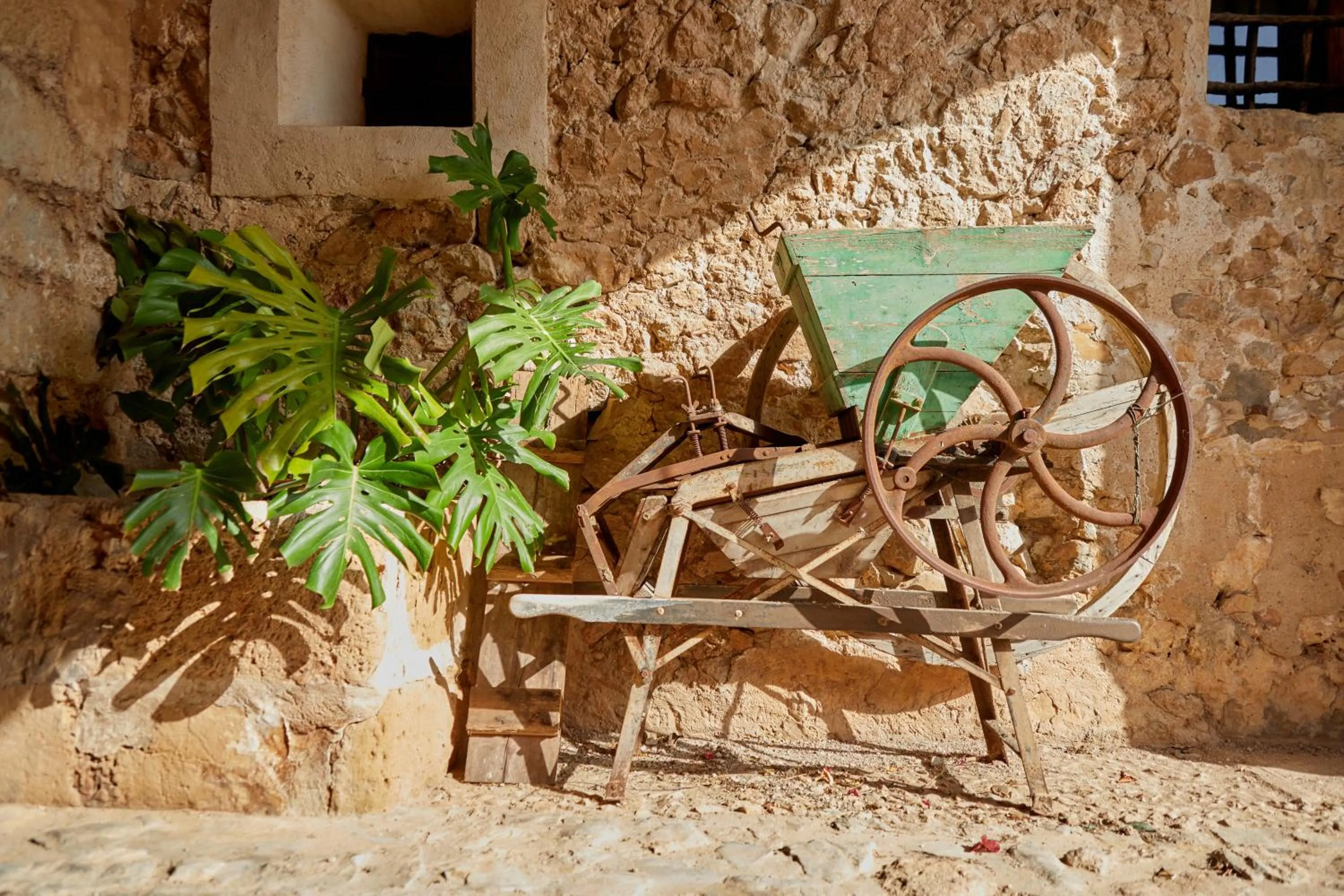 Other in Agroturismo Alquería Blanca