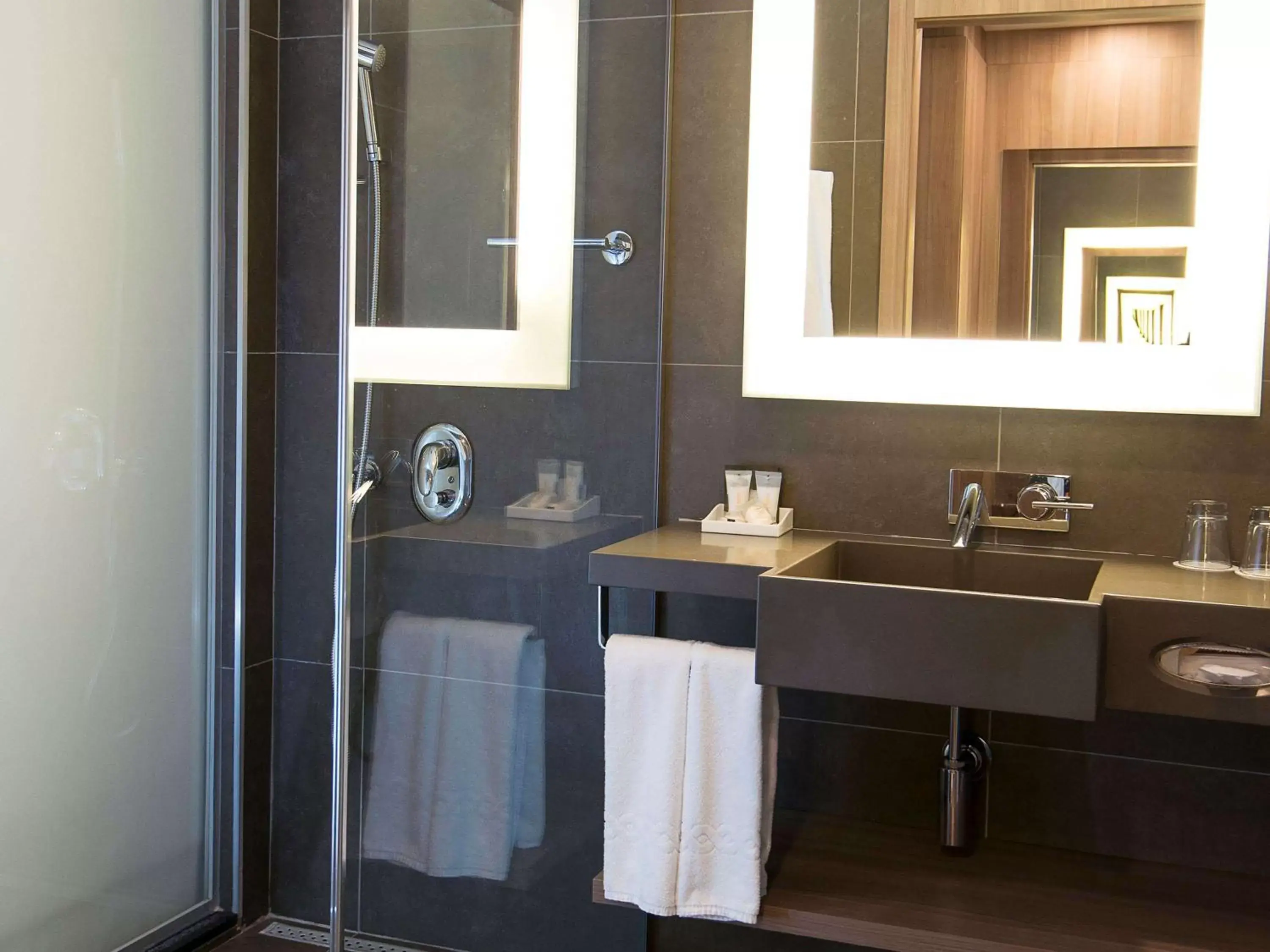 Photo of the whole room, Bathroom in Novotel Santos Gonzaga