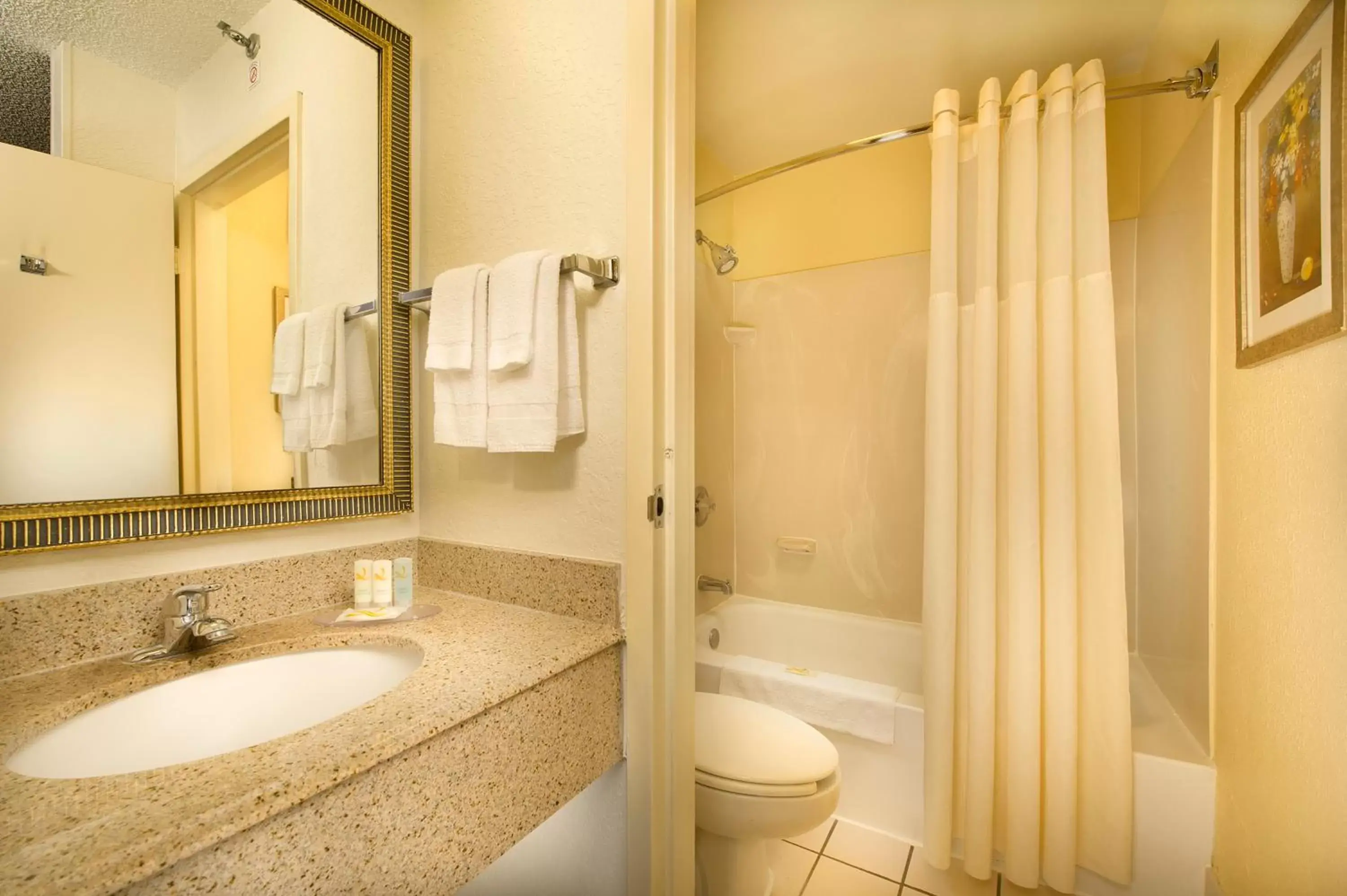Bathroom in Quality Inn Miami Airport - Doral