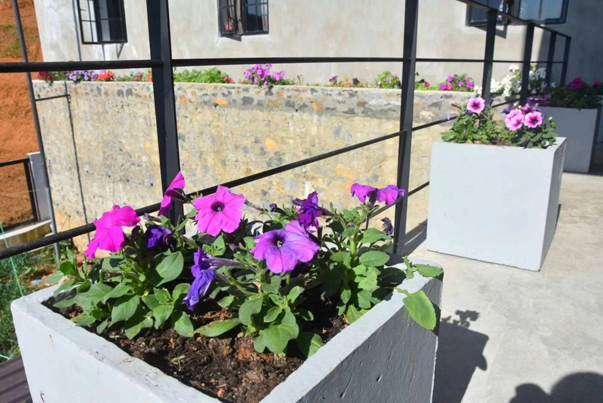 Garden in Manuka Hillwood Hotel