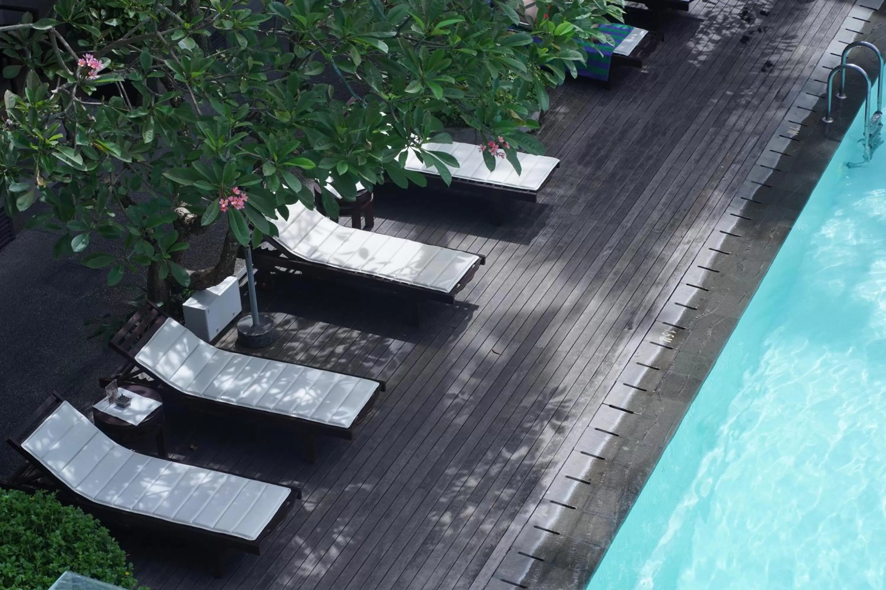 Swimming pool in The Vira Bali Boutique Hotel & Suite