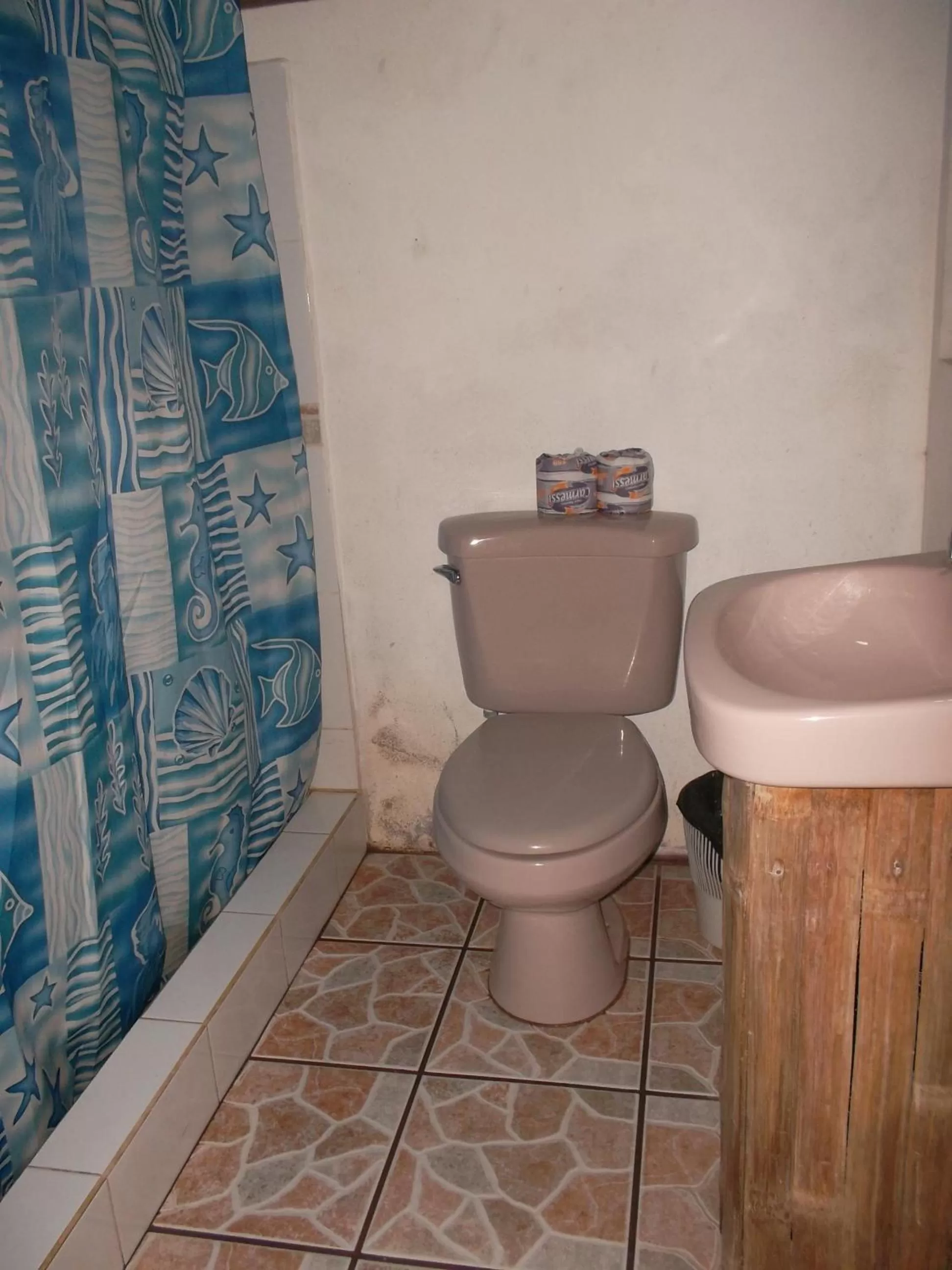 Hotel Salvador Gaviota