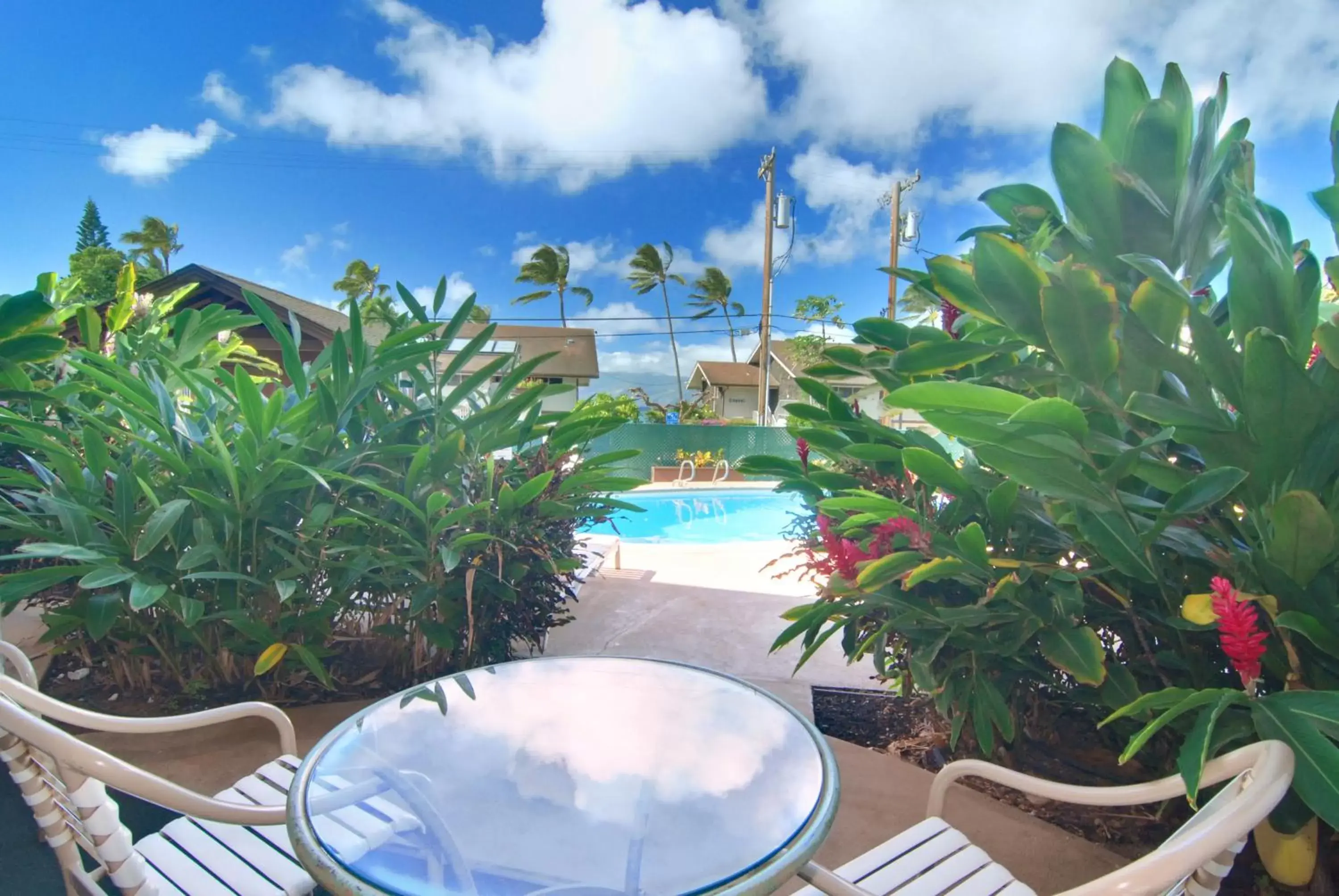 Balcony/Terrace, Swimming Pool in Napili Sunset Beach Front Resort