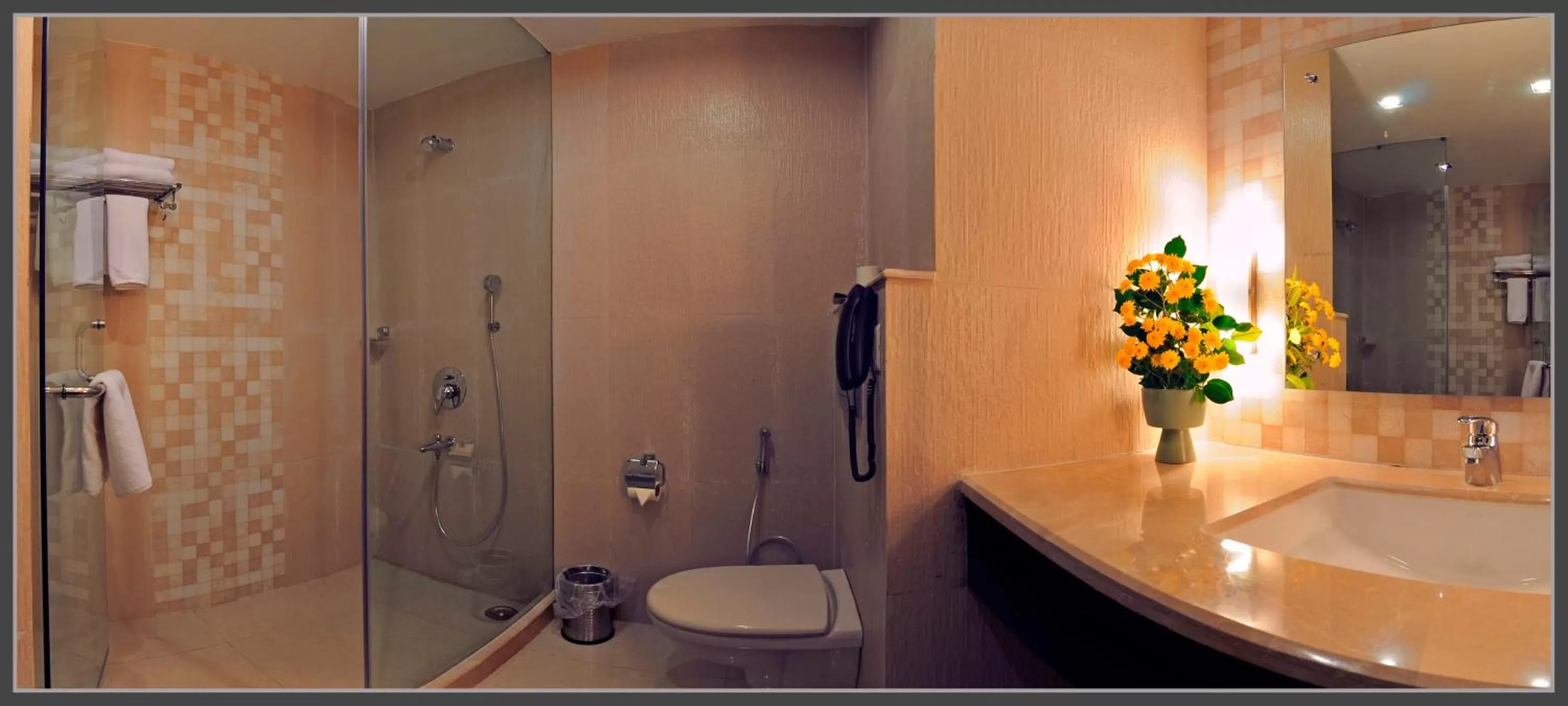 Toilet in The Retreat