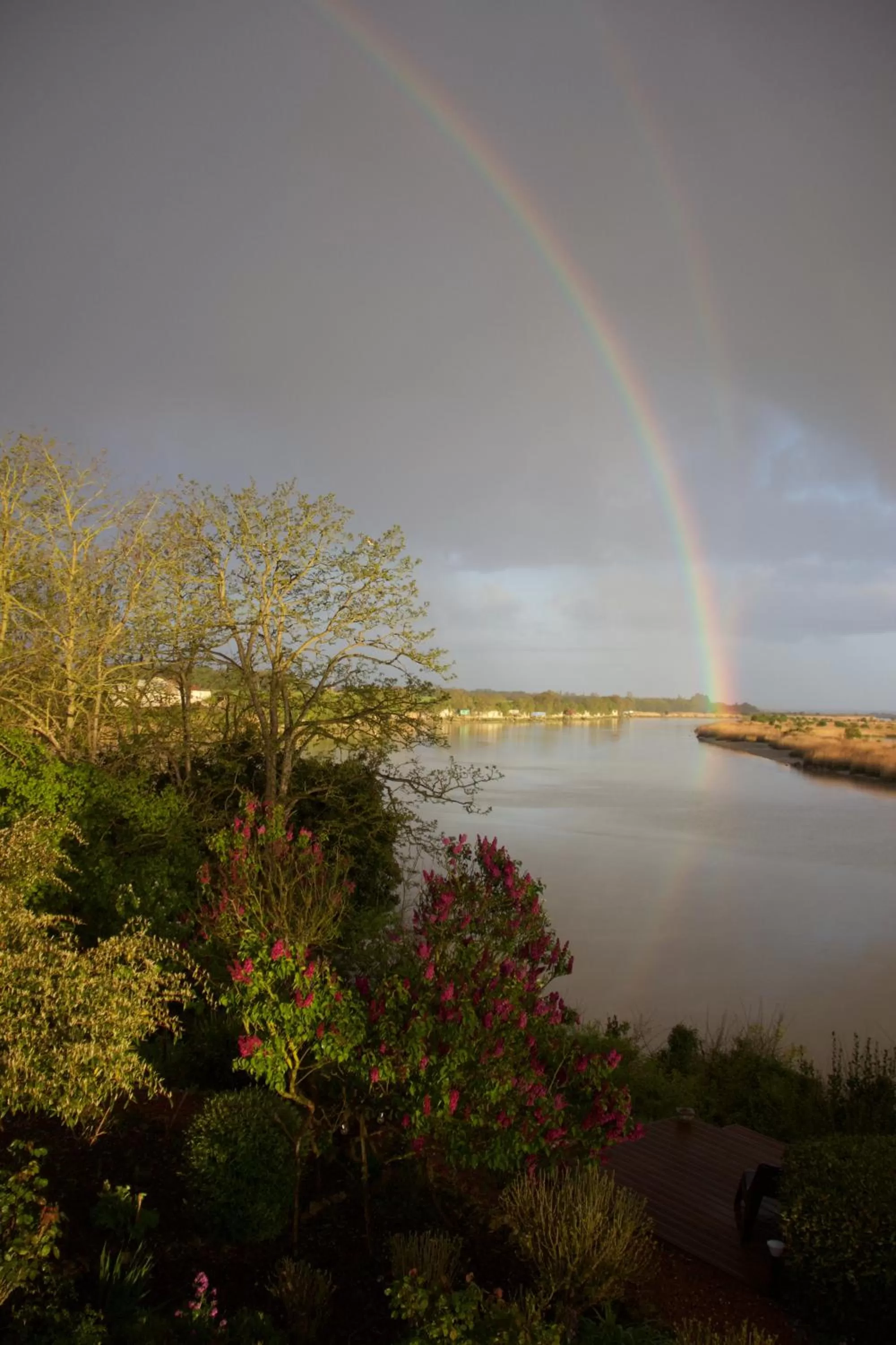 View (from property/room) in La Charentine