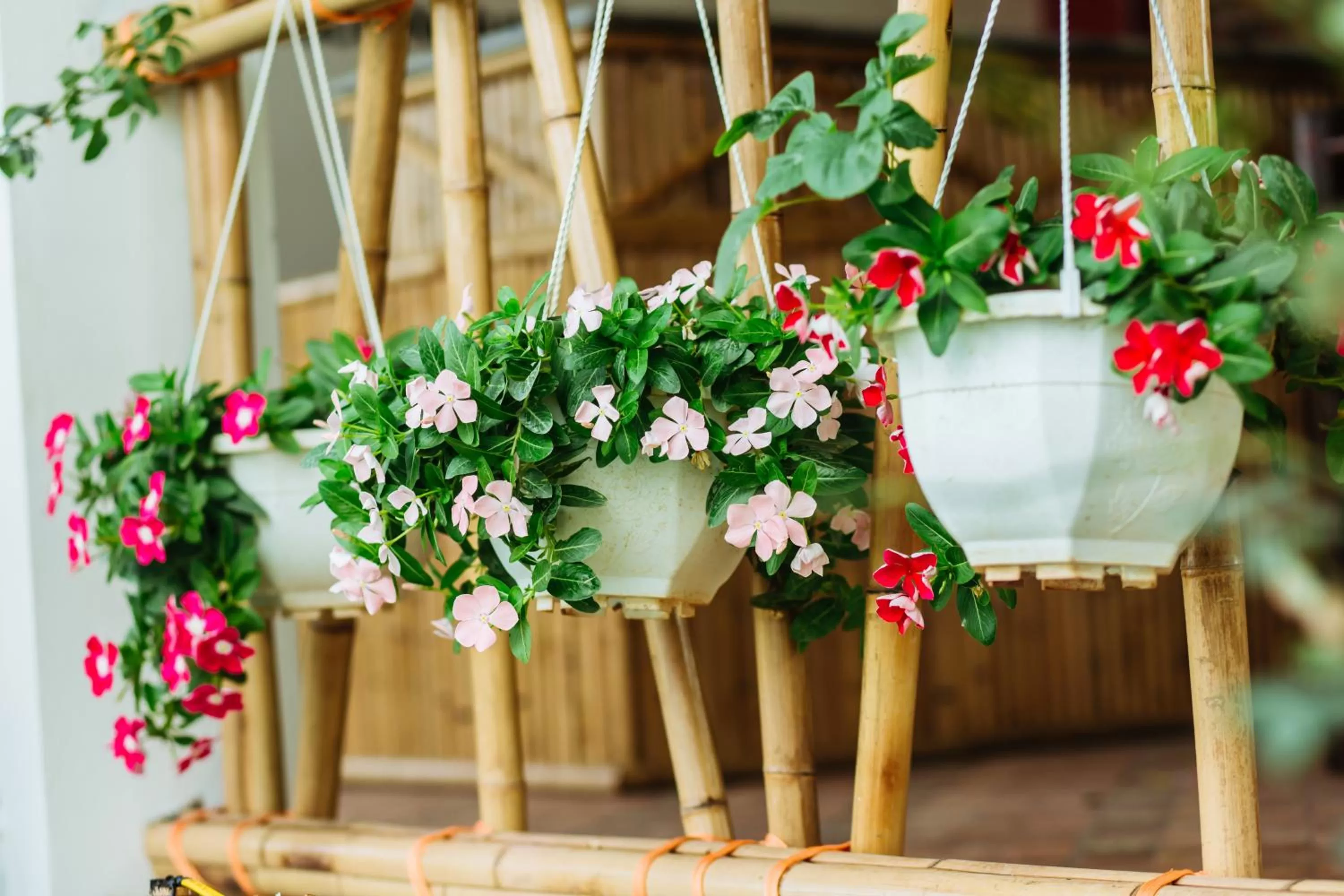 Garden in Nan House - Tam Coc