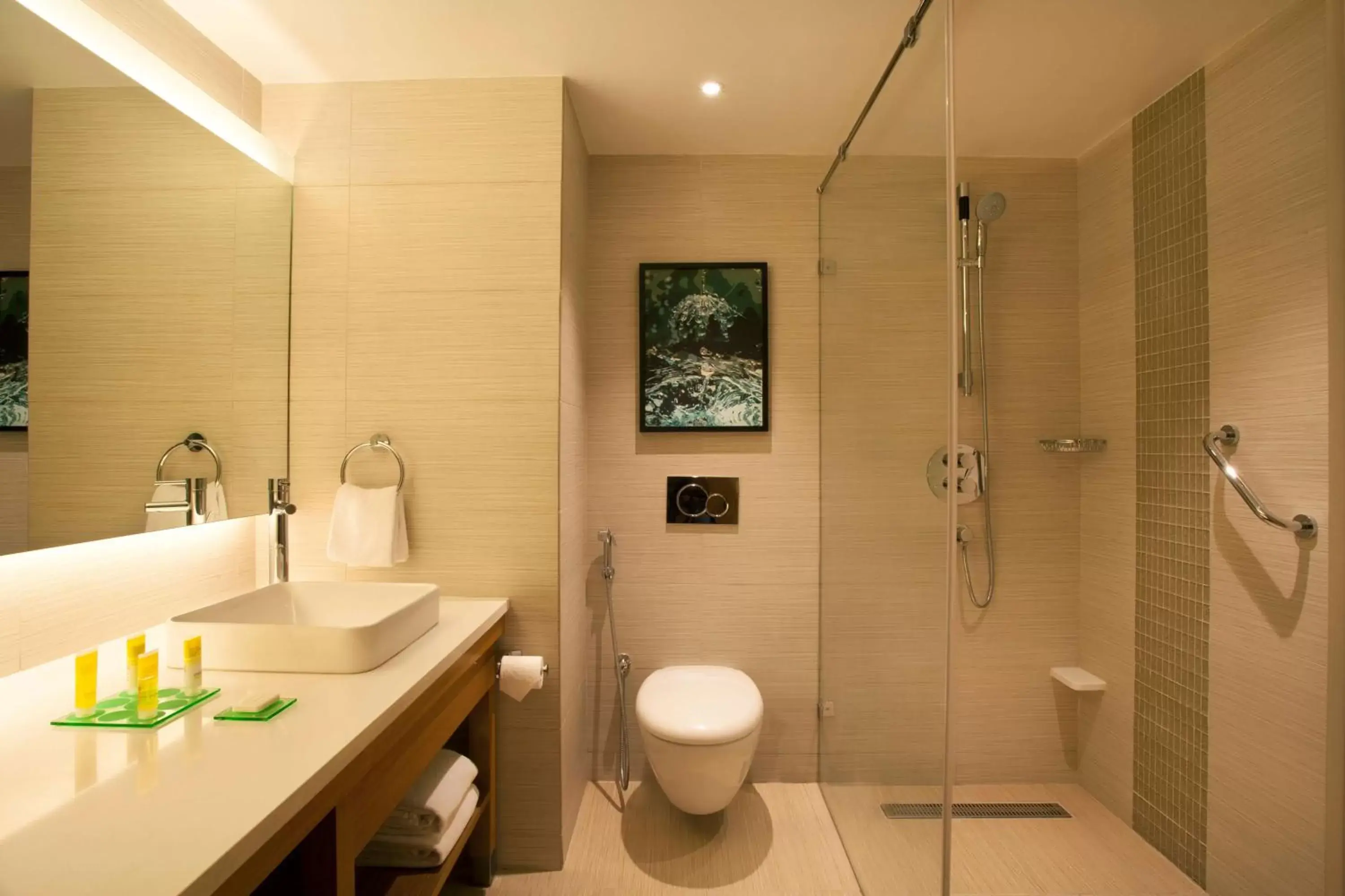 Bathroom in Hyatt Place Hyderabad Banjara Hills