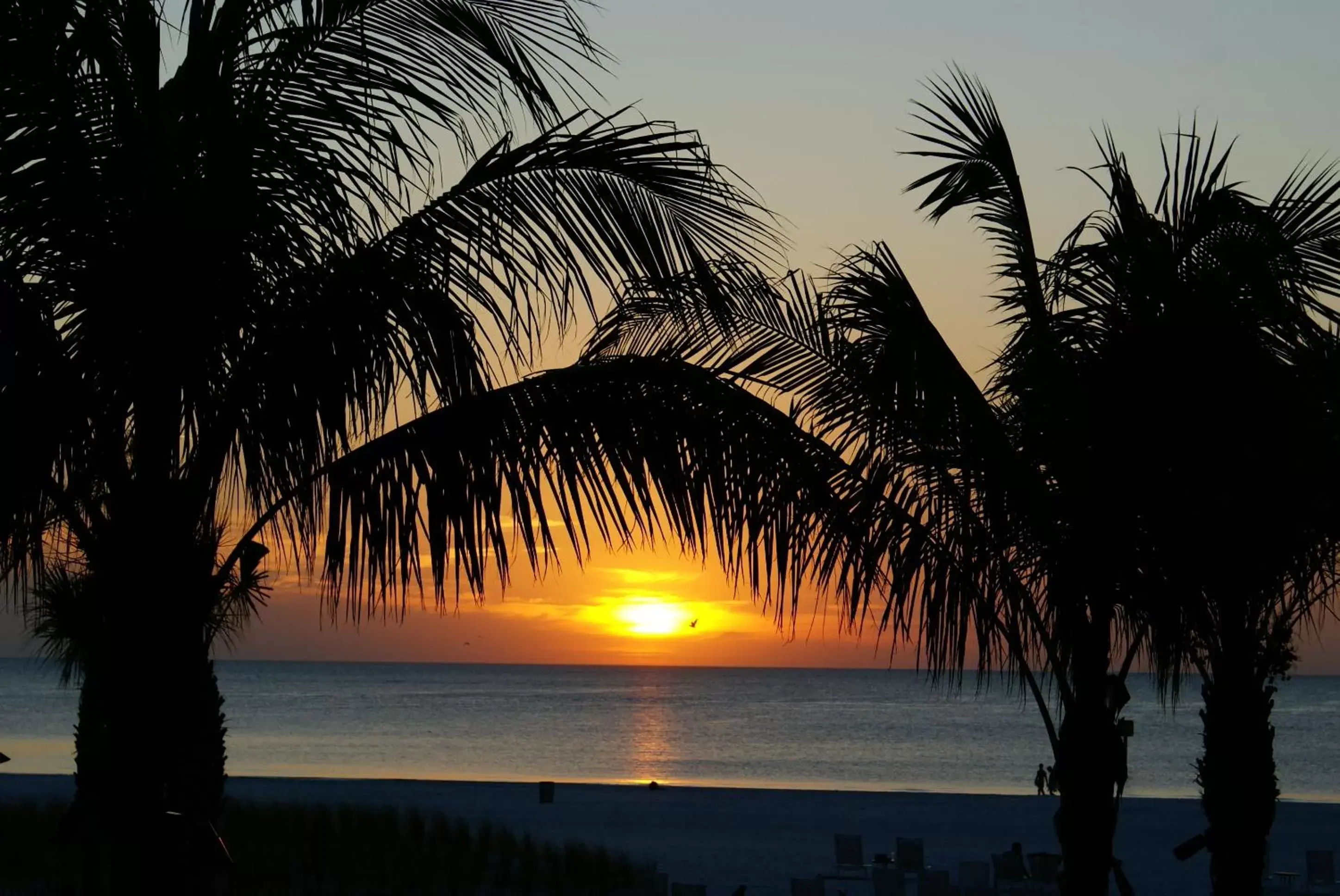 View (from property/room), Sunrise/Sunset in Sandpearl Resort Private Beach