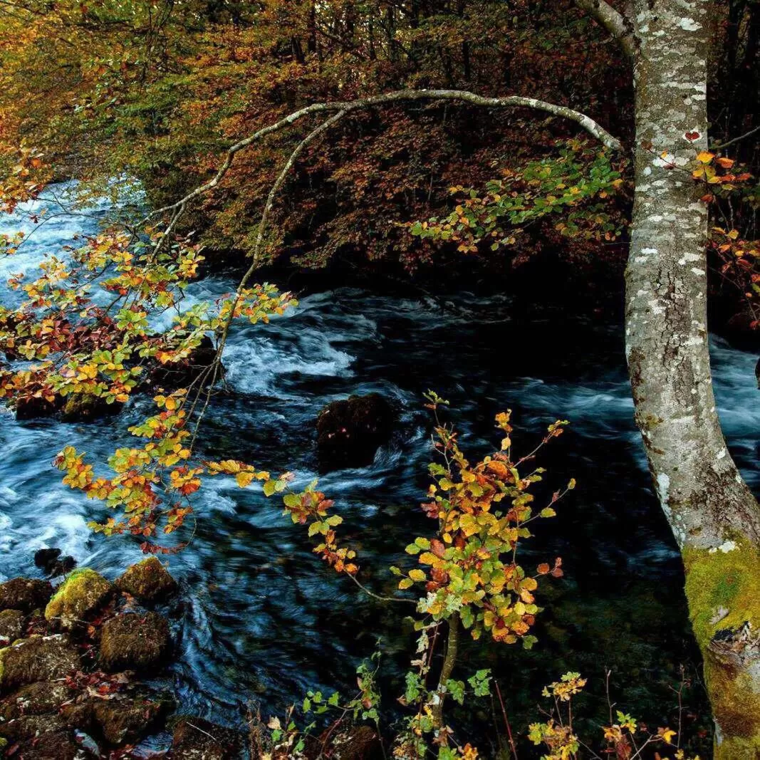 Bed and Breakfast Family Djukic