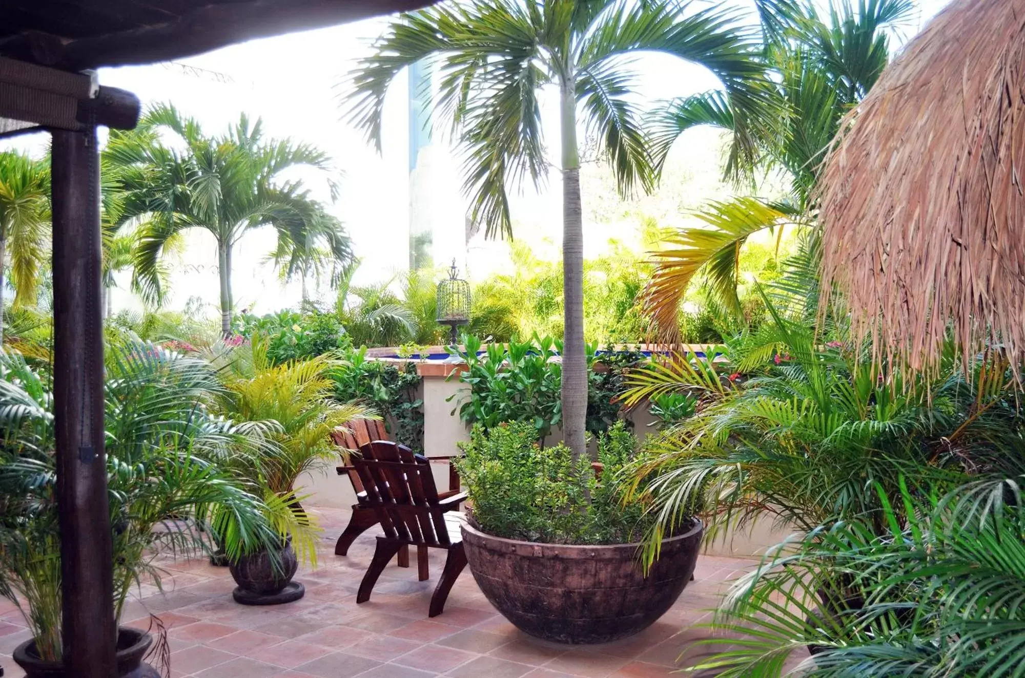 Garden view in La Pasion Colonial Hotel Boutique By Bunik Garden view in La Pasion Colonial Hotel Boutique By Bunik