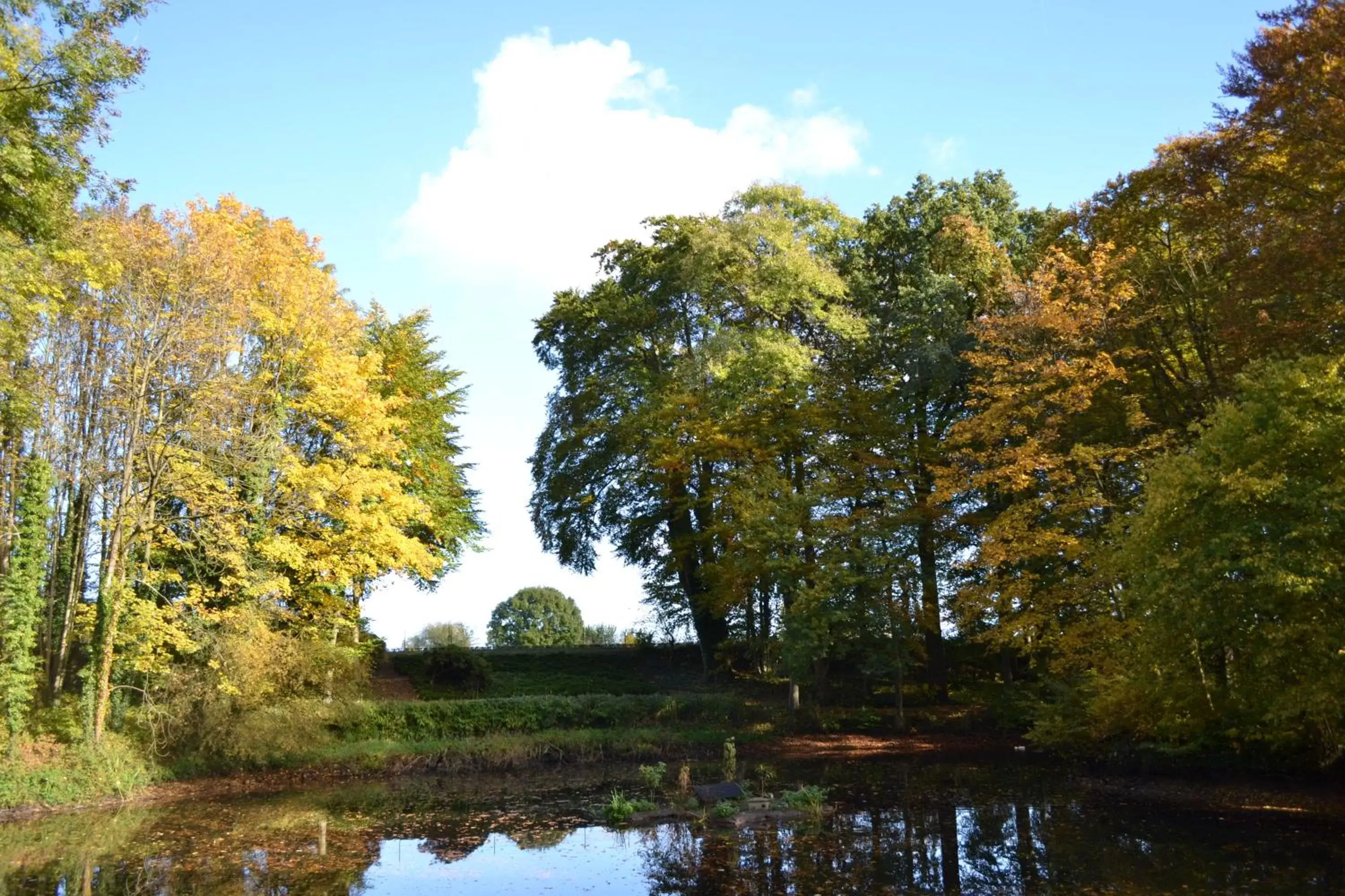 Autumn, Garden in B&B en SPA Landgoed Matanze