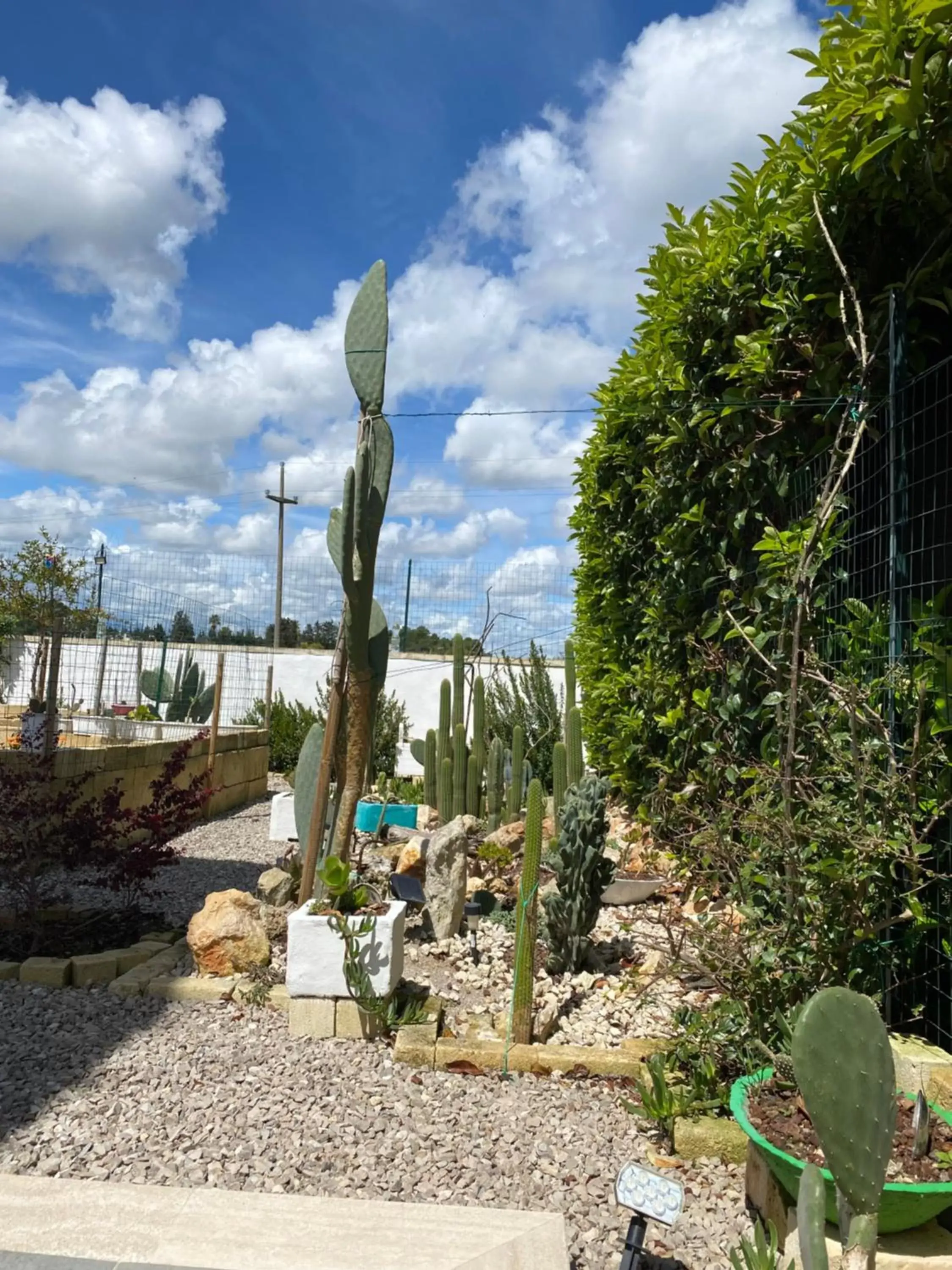 Garden in La casa di Nina