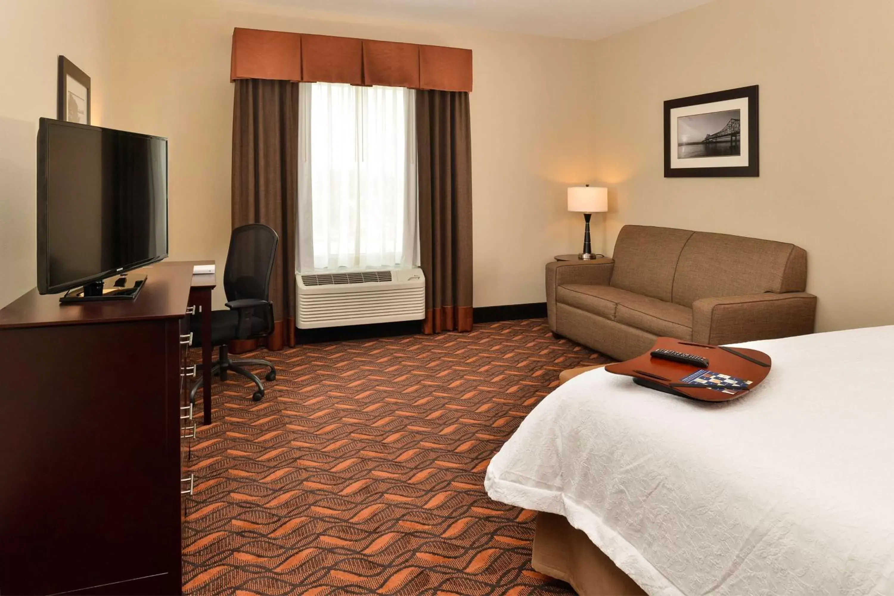 Bed, TV/Entertainment Center in Hampton Inn & Suites Harvey