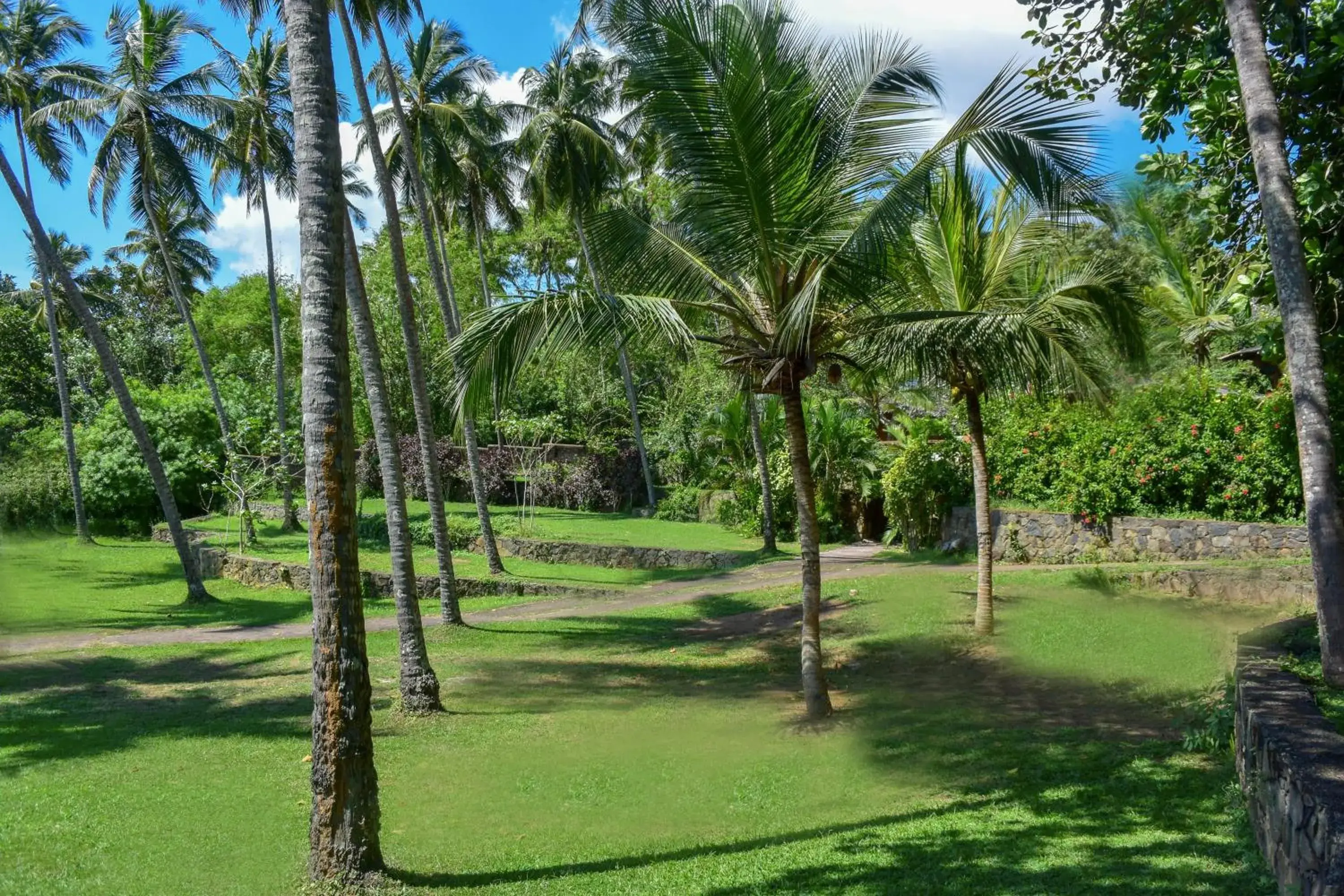 Garden view, Garden in Eva Lanka Hotel - Beach & Wellness