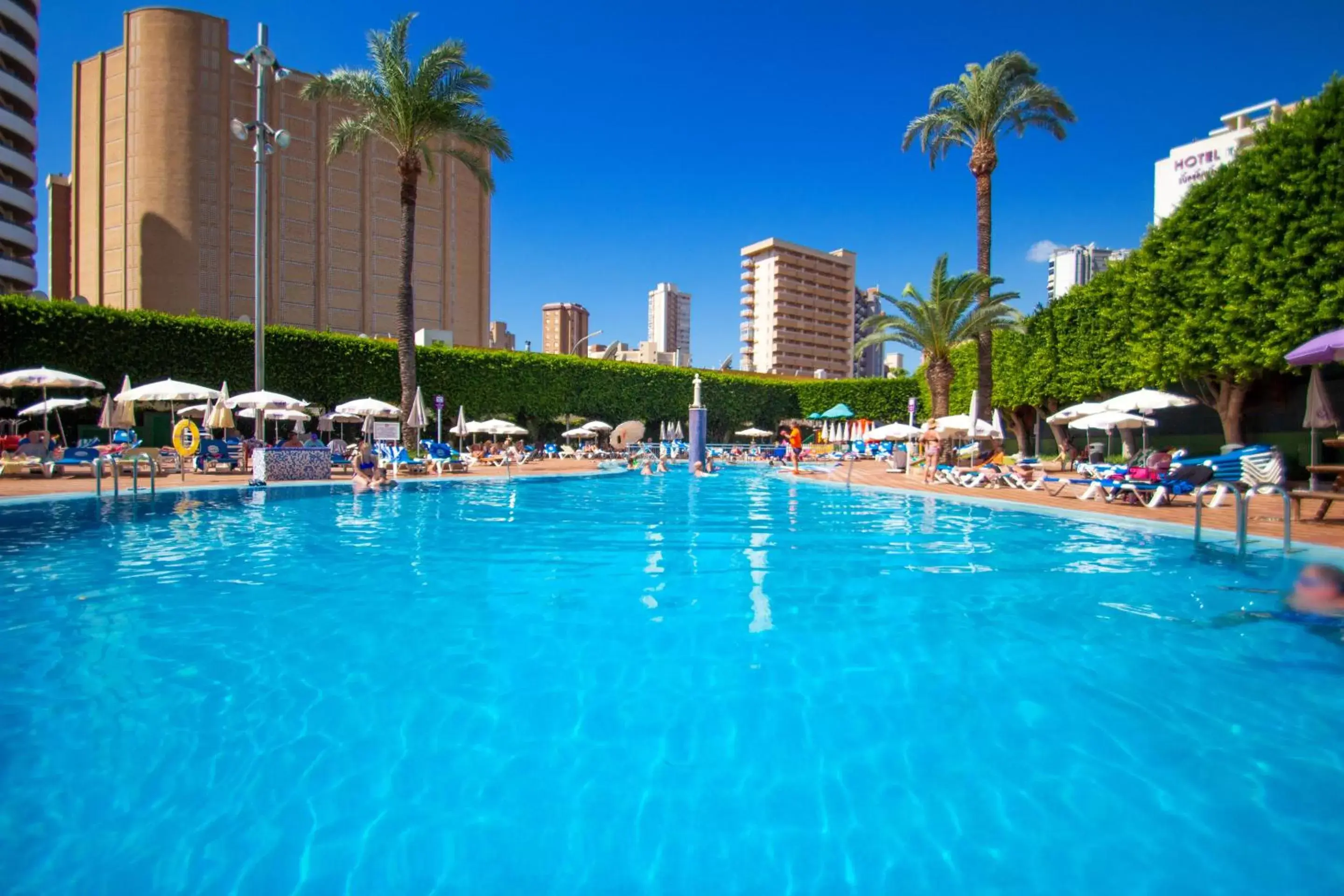 Swimming Pool in Hotel Servigroup Venus