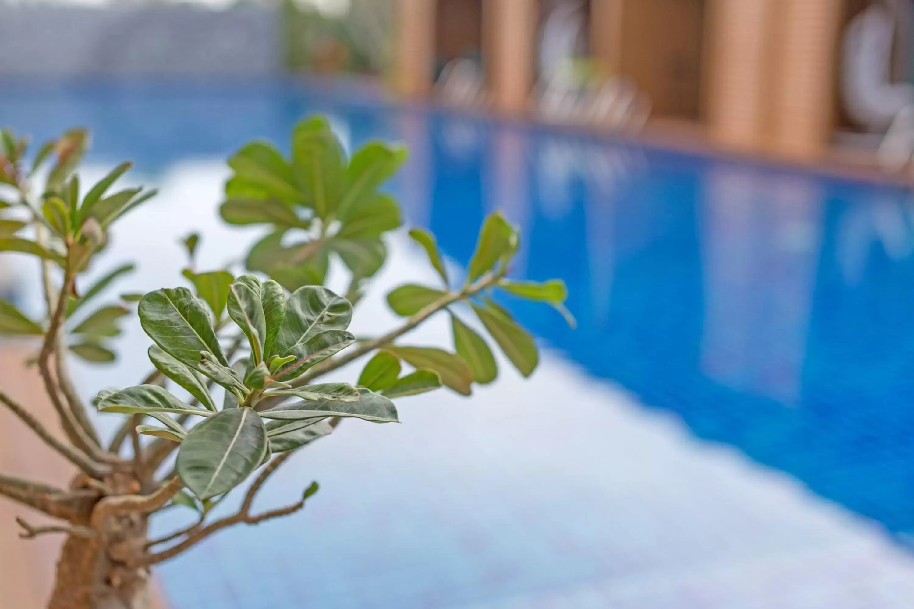 Swimming Pool in Vann Hua Hin Resort