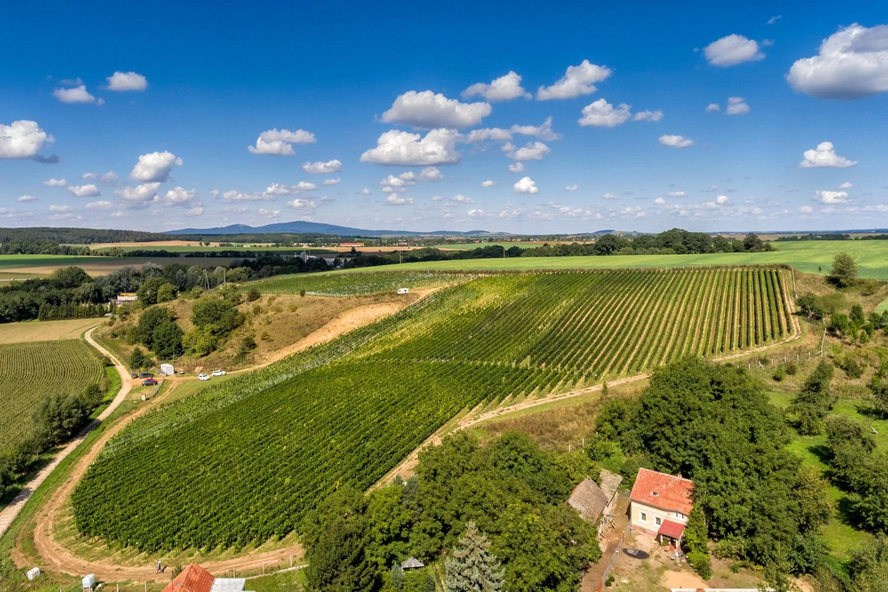 Nearby landmark in Hotel Niemcza Wino & Spa