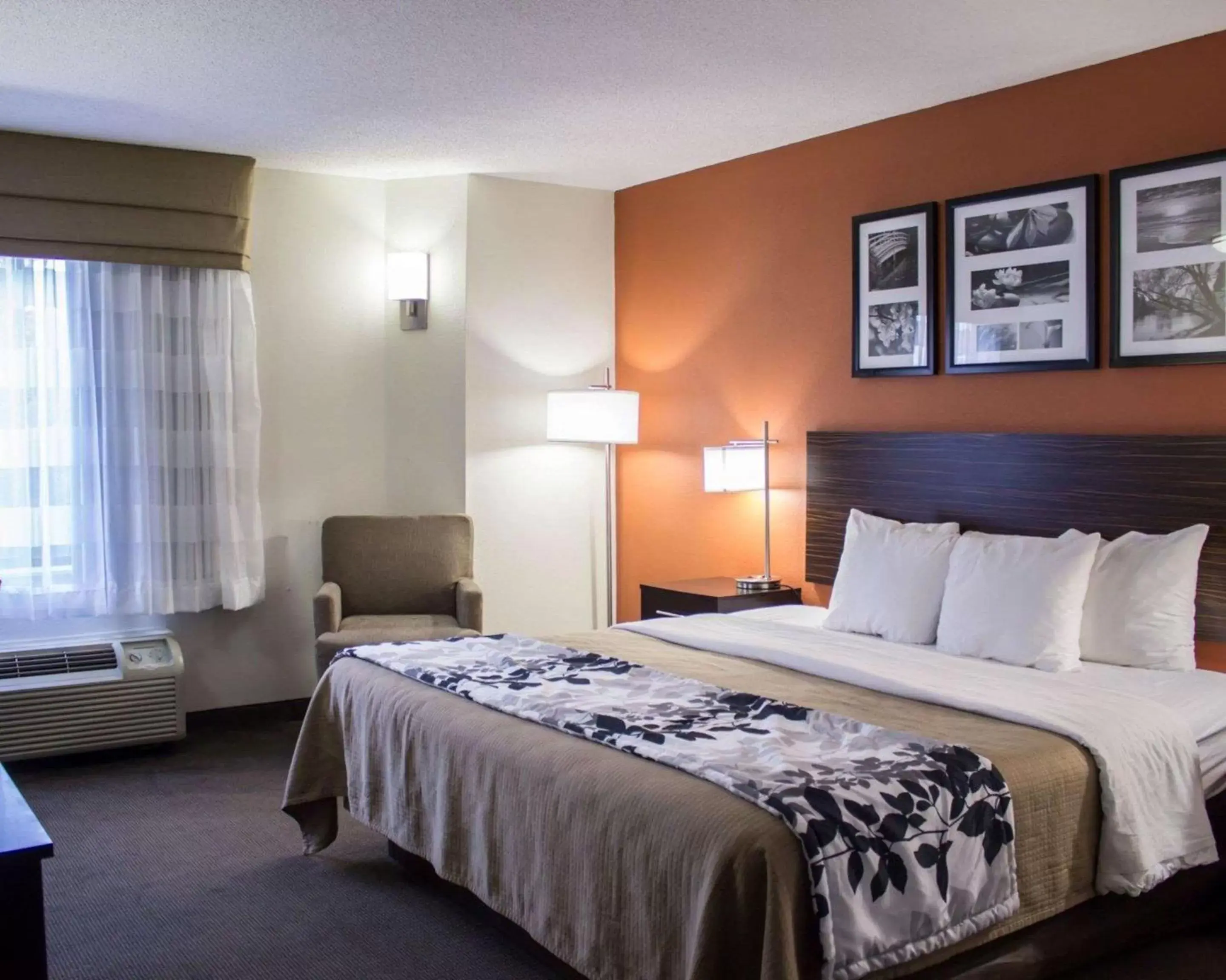 Photo of the whole room, Bed in Sleep Inn Wilson near I-95