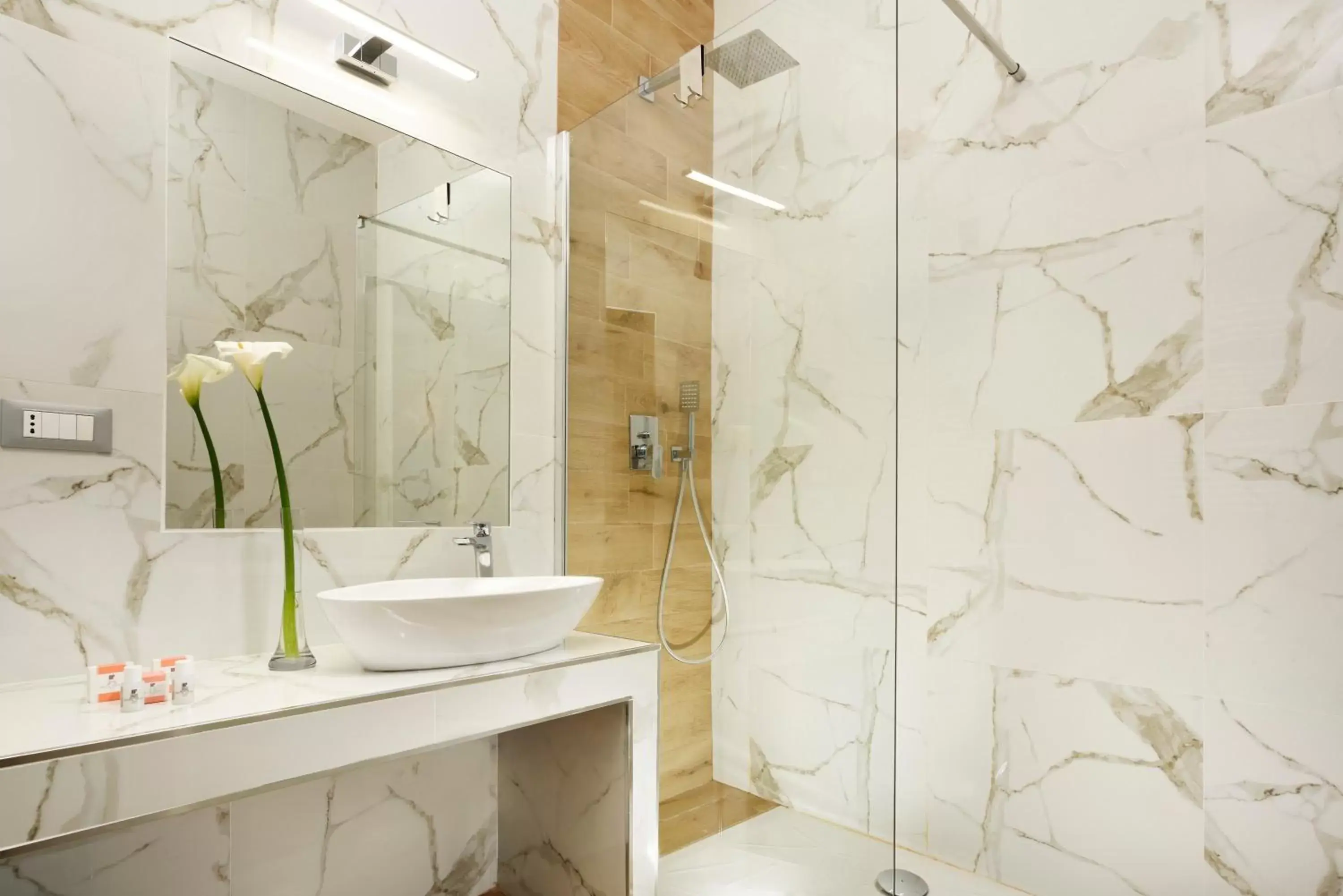 Shower, Bathroom in Hotel Patria