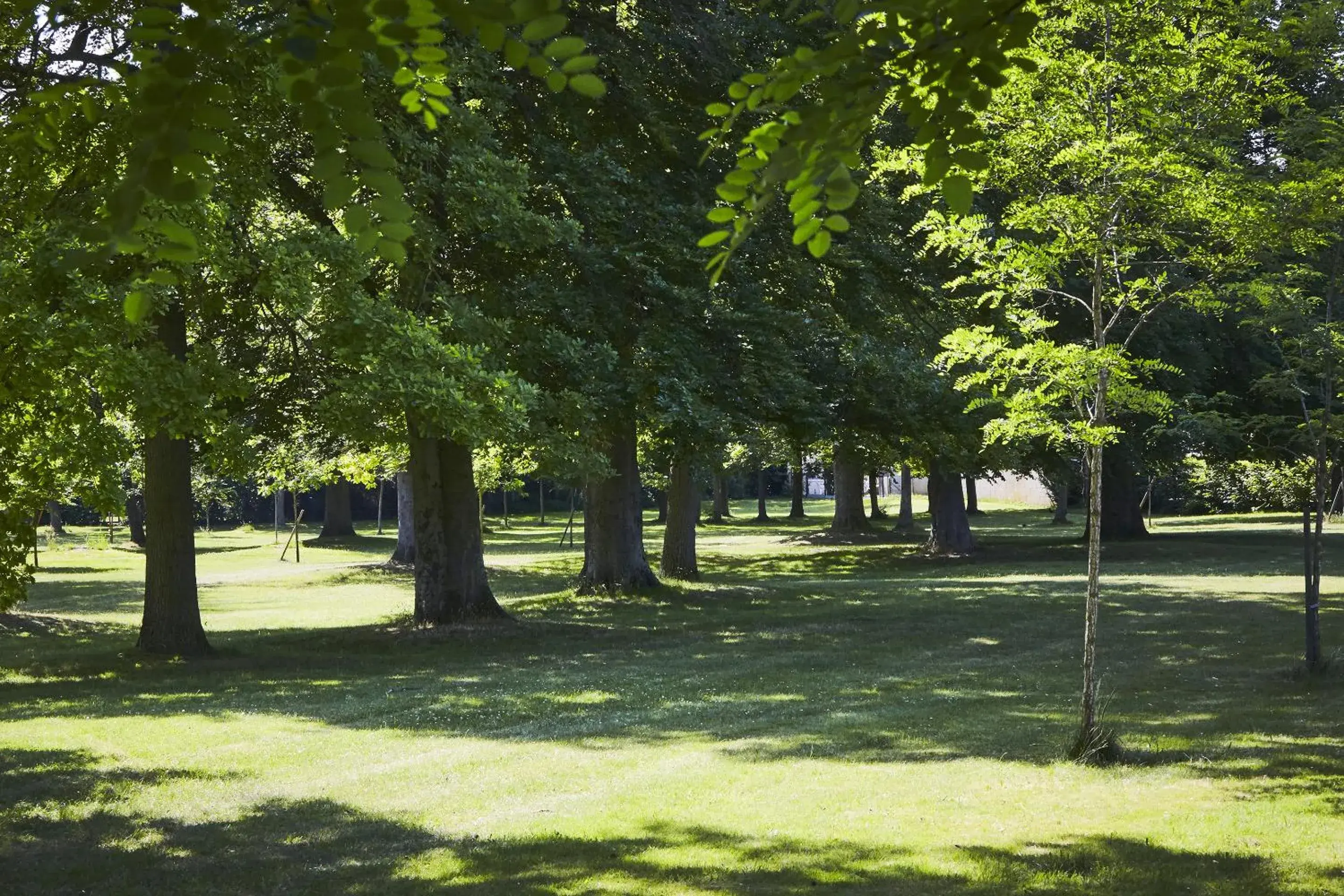 Garden in Campanile Hotel Compiegne