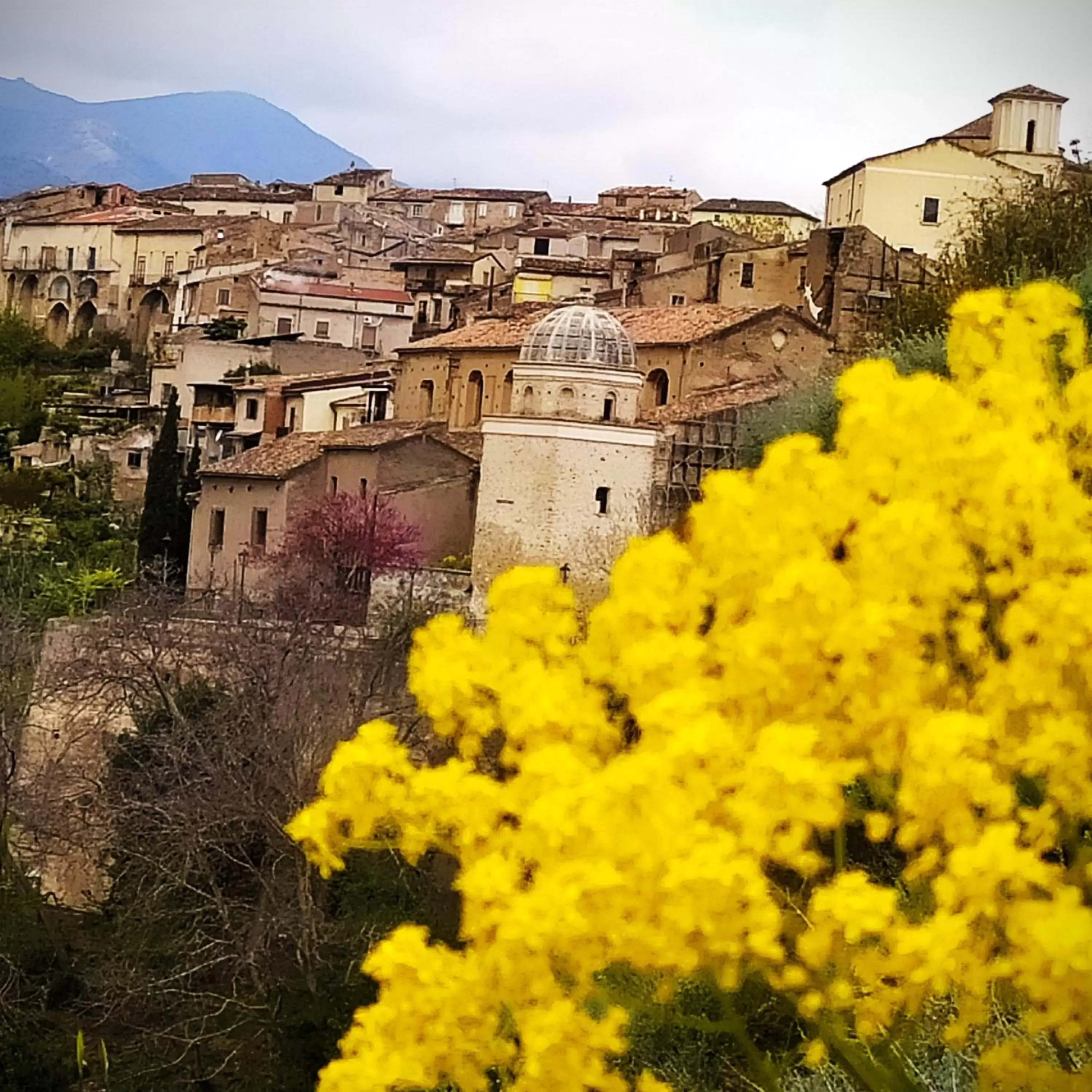 Neighbourhood in B & B Luoghi Antichi