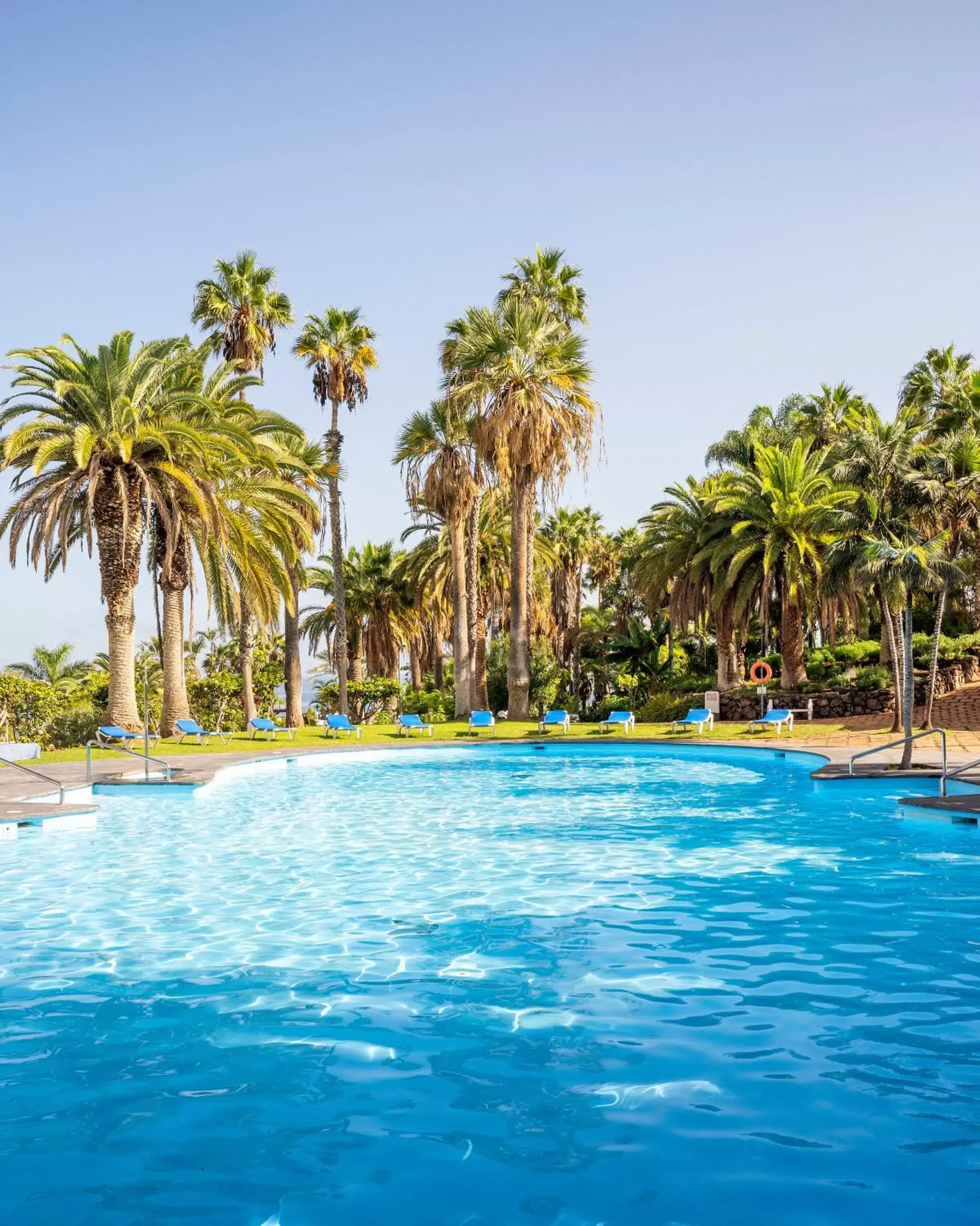 Garden, Swimming Pool in Precise Resort Tenerife
