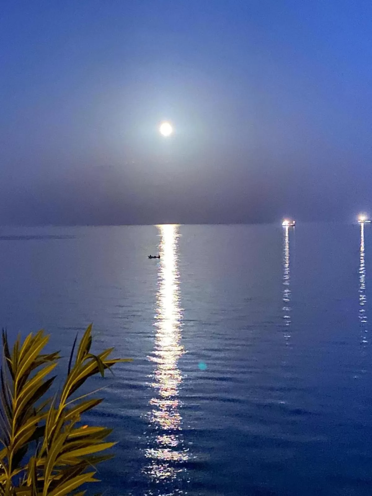 No Problem Pansiyon & Alkaya