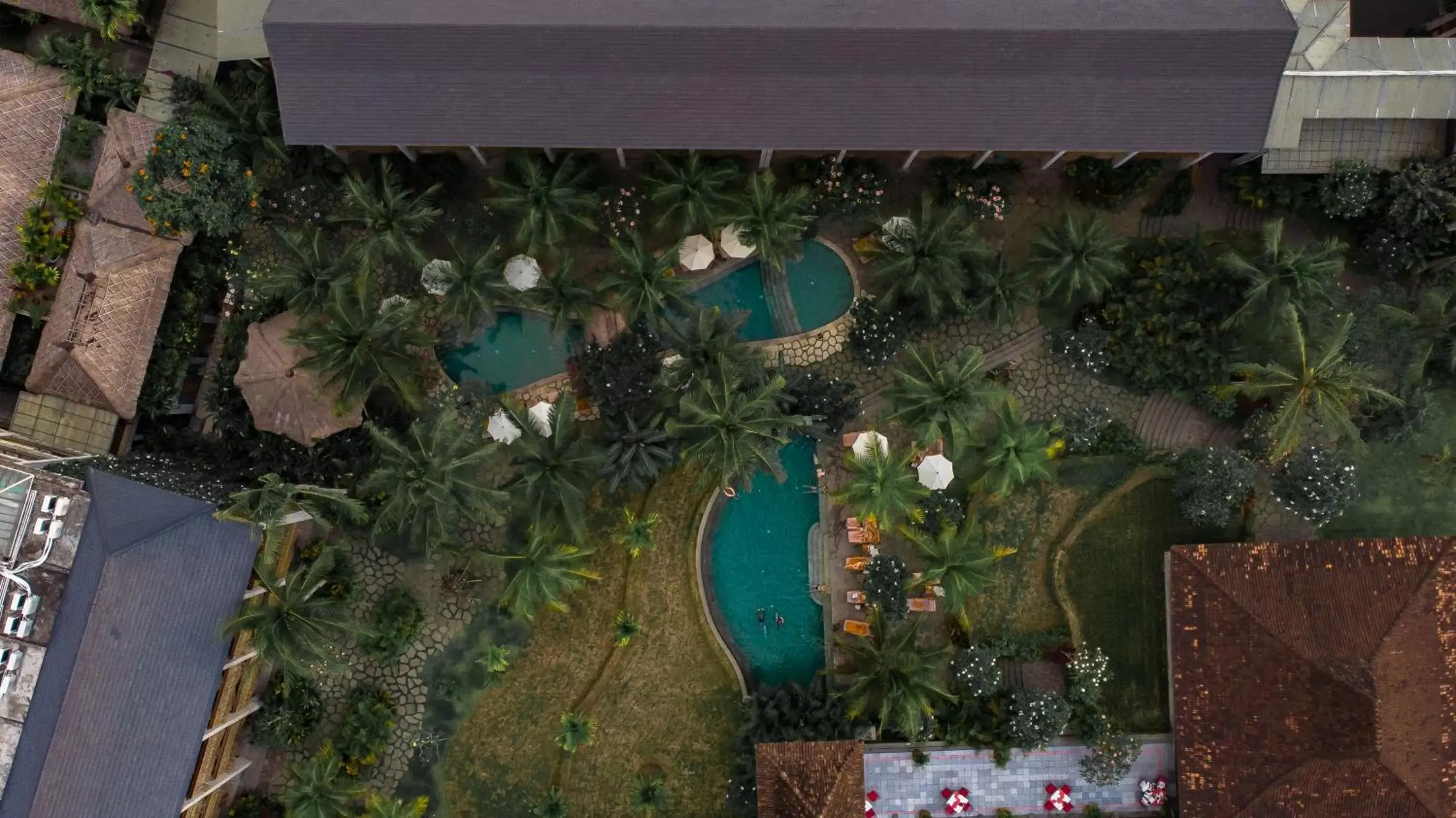 Bird's eye view in Alaya Resort Ubud Bird's eye view in Alaya Resort Ubud