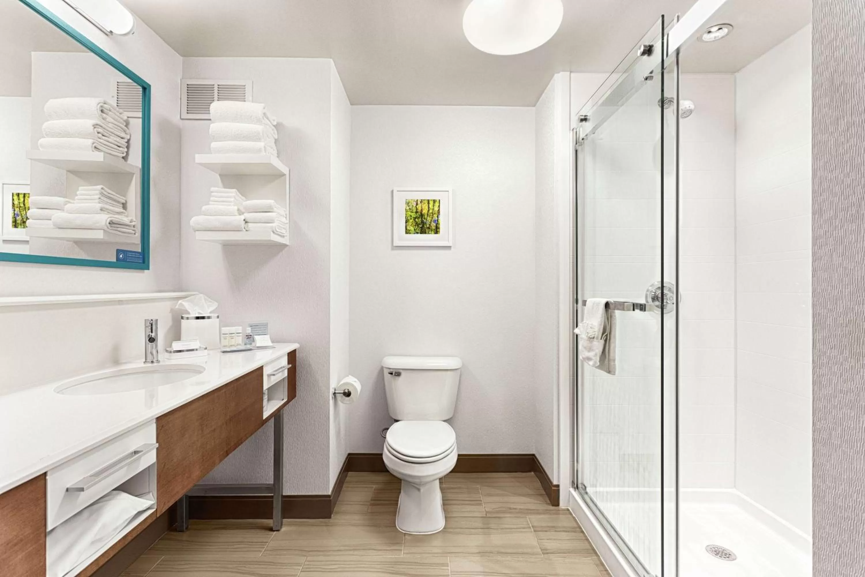 Bathroom in Hampton Inn Morganton