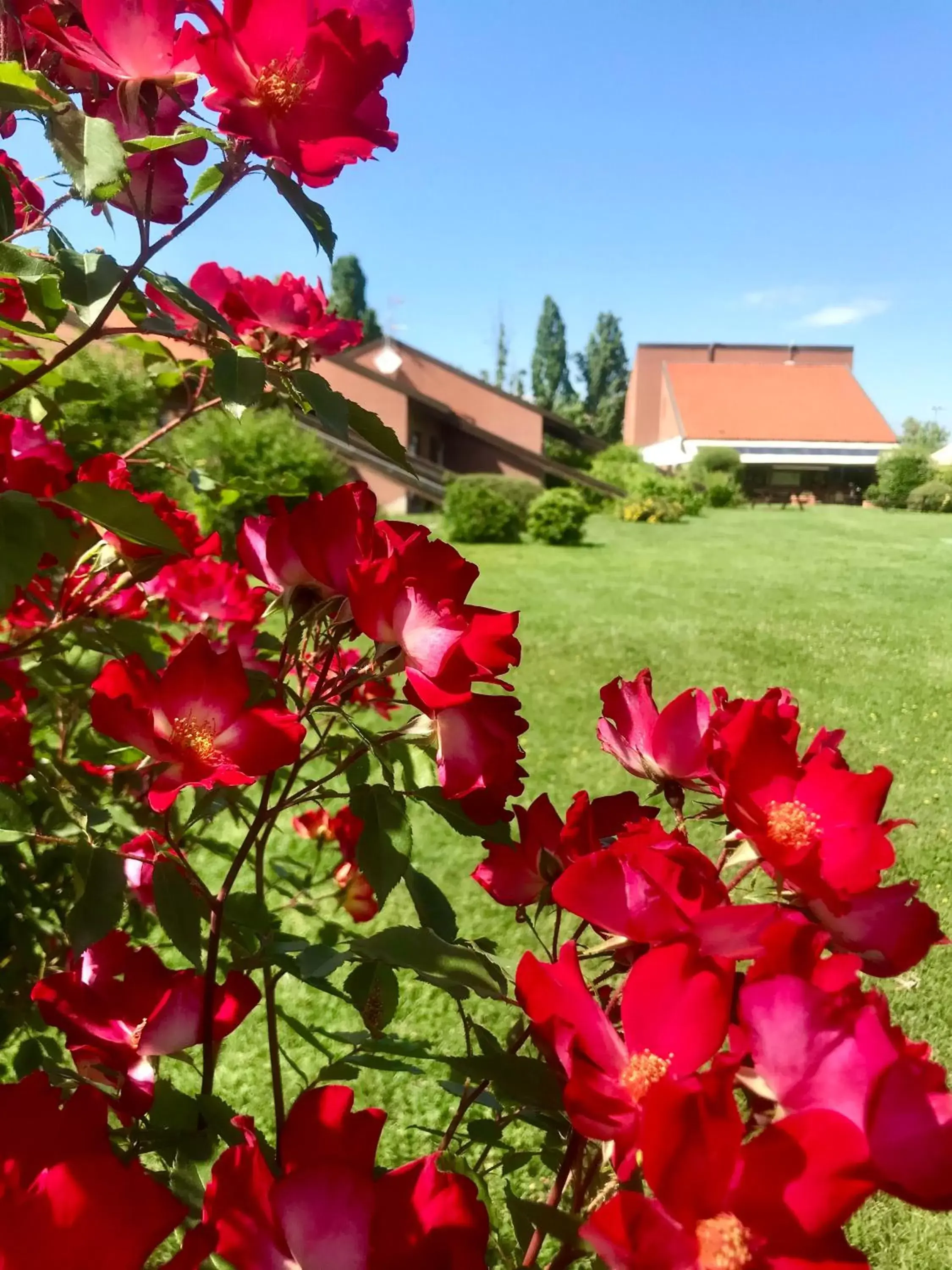 Spring, Garden in Serravalle Golf Hotel