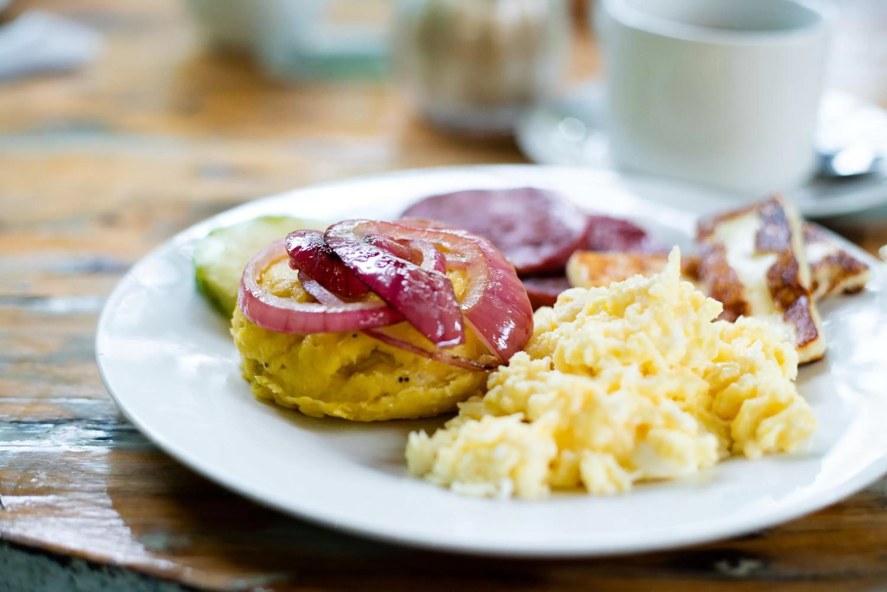 Day in Riviera Punta Cana Eco Travelers