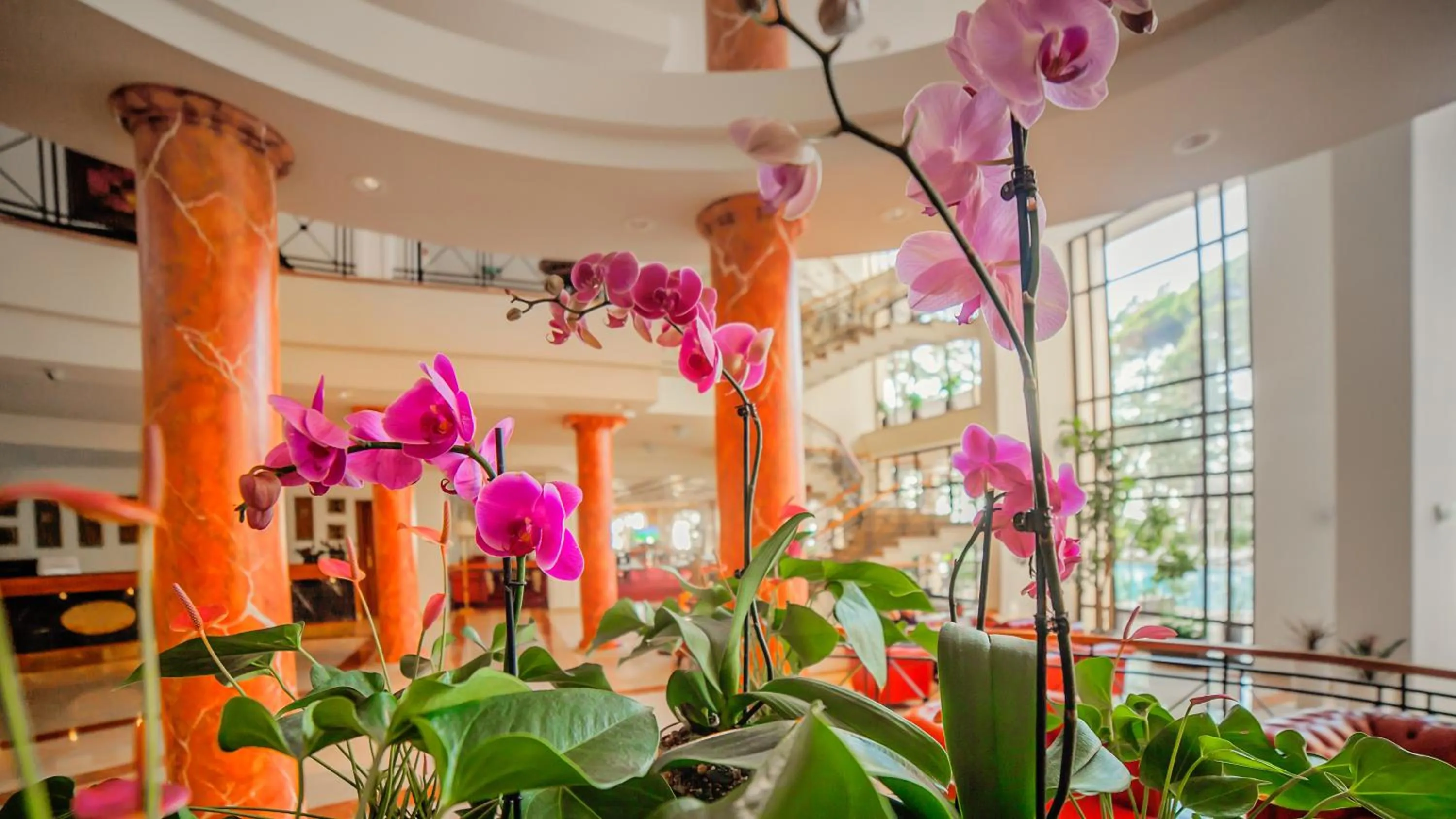 Lobby or reception in Kobuleti Georgia Palace Hotel & Spa